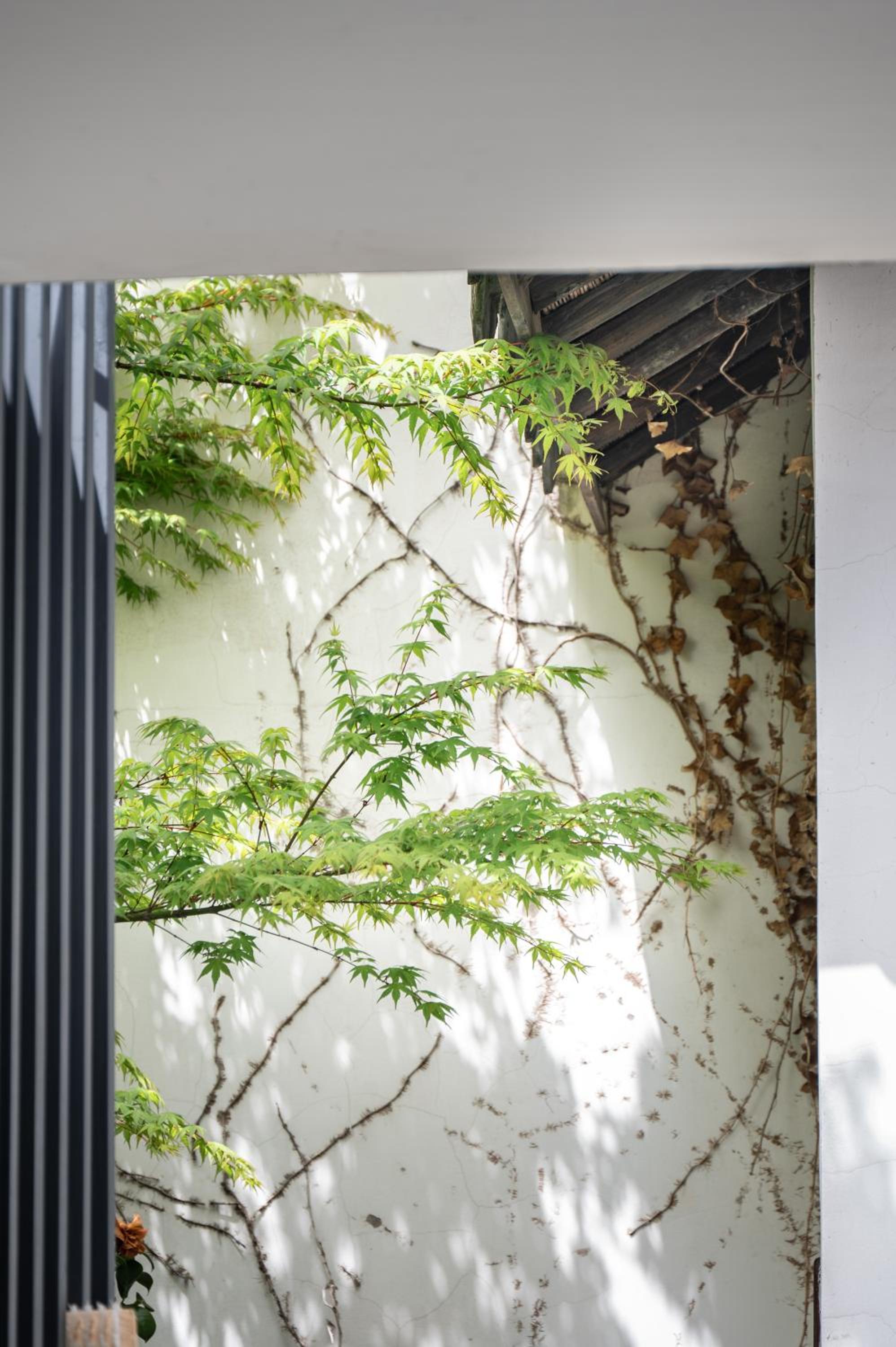 Tingjian Musu Private Soup Design Homestay - South Gate of Wuzhen Xizha Scenic Area