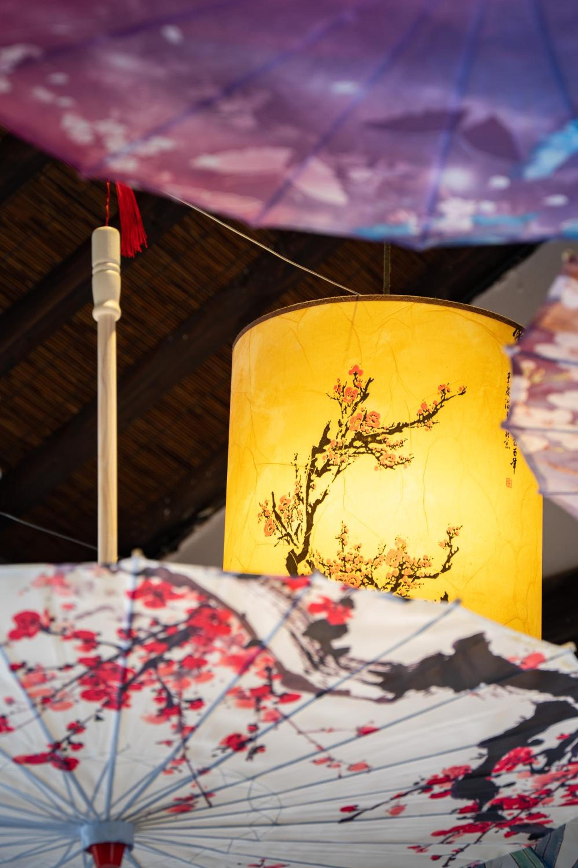 Tingjian Musu Private Soup Design Homestay - South Gate of Wuzhen Xizha Scenic Area