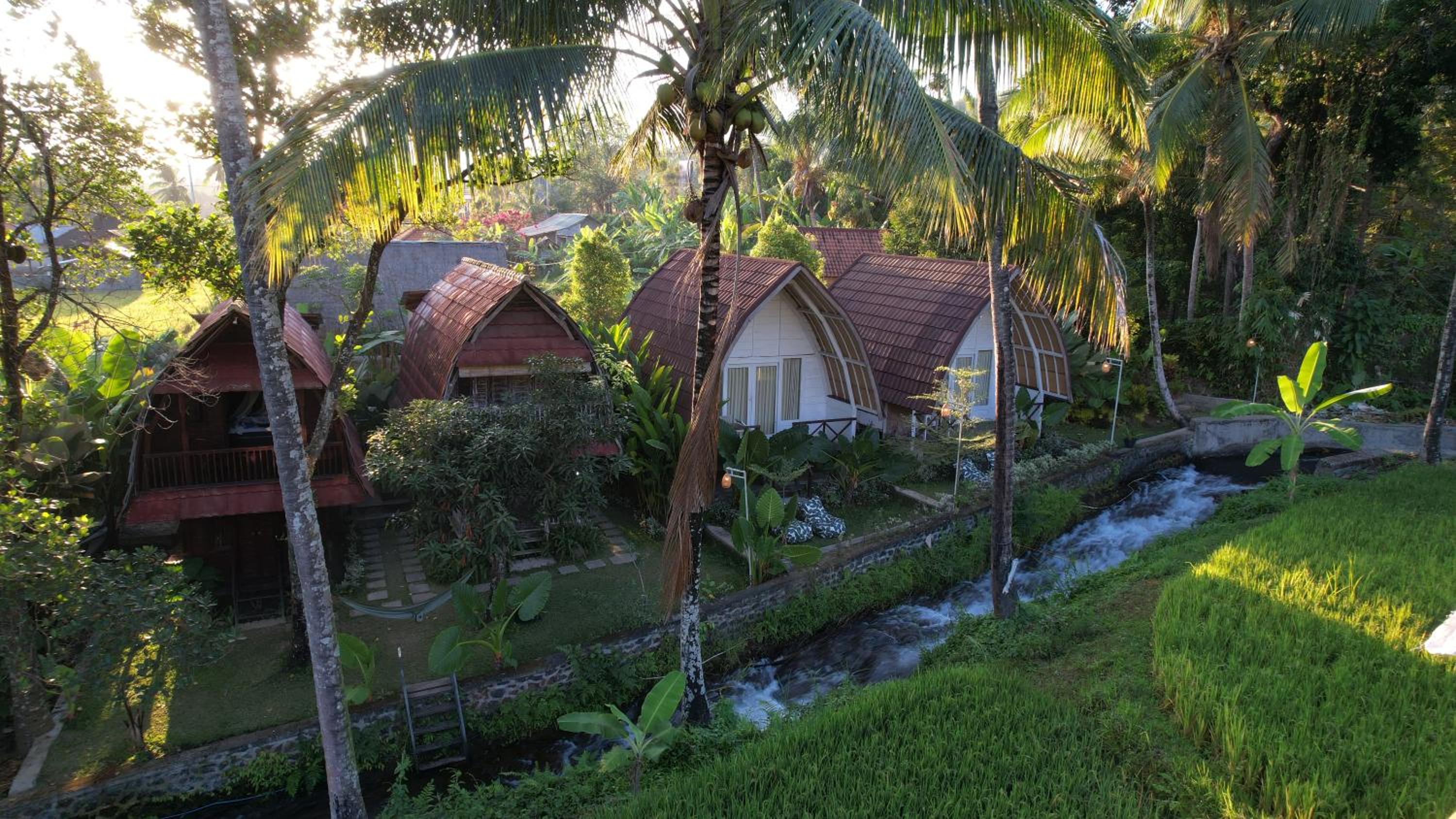 Photo 54