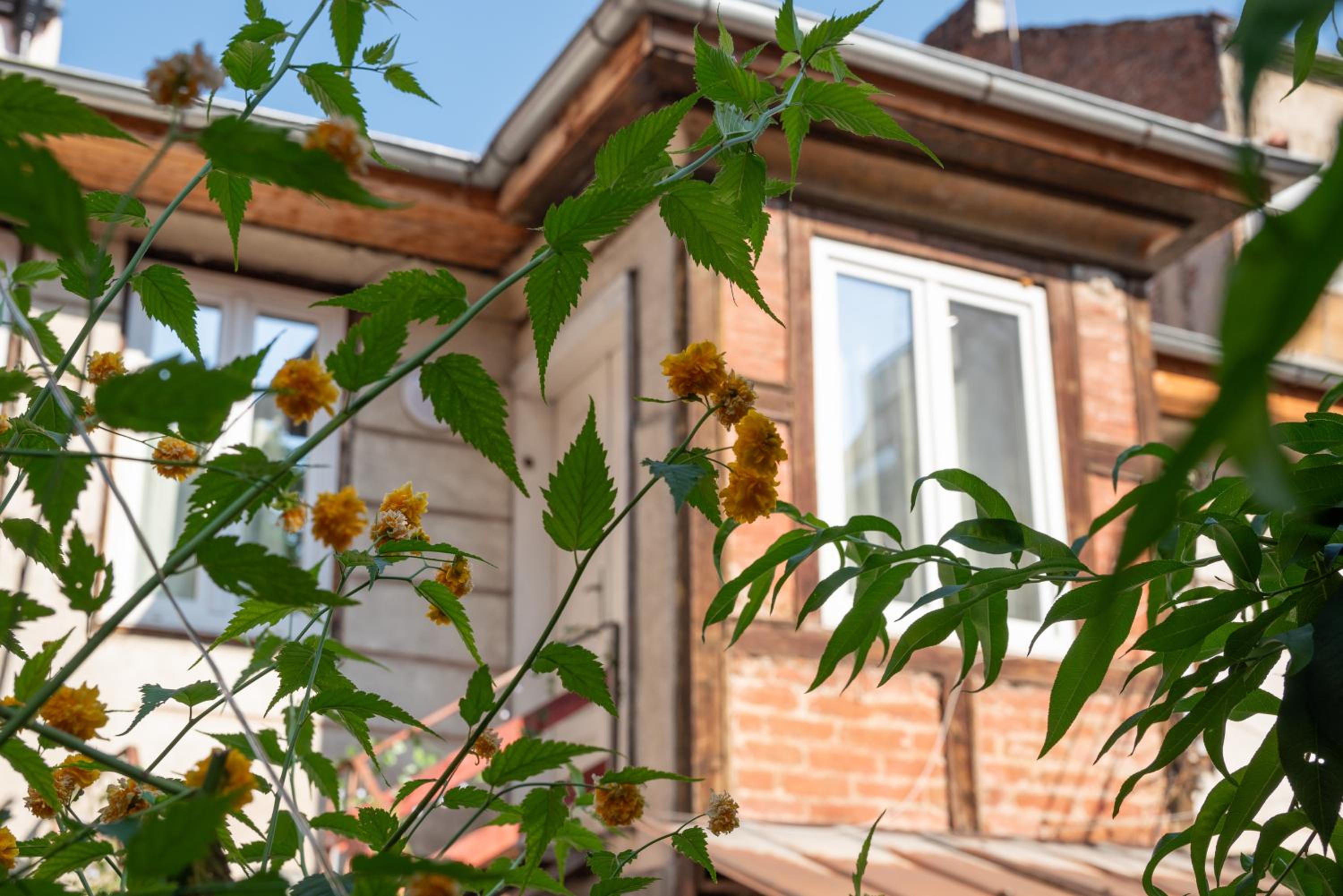 5 min to CityCenter - HOUSE & GARDEN - Netflix, Playstation & WiFi