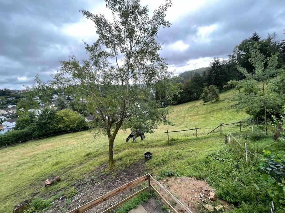 Altes Bauernhaus in der Natur