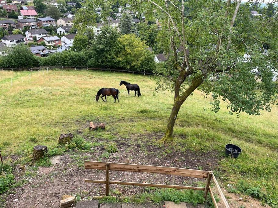 Altes Bauernhaus in der Natur