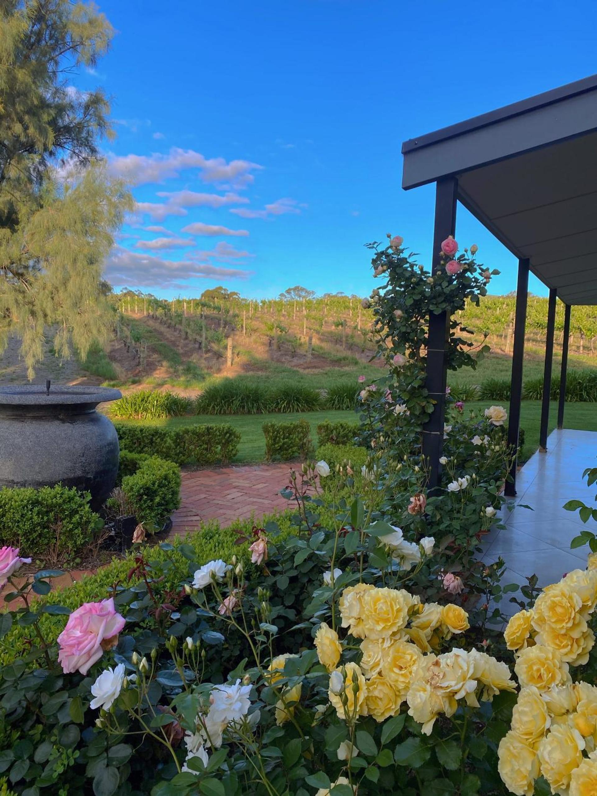 Petit Verdot Cottage - A Vineyard Retreat in Barossa Valley
