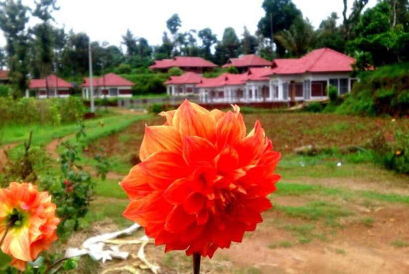 Himani Heritage Resorts, formerly Camp Nishani Holidays view 5
