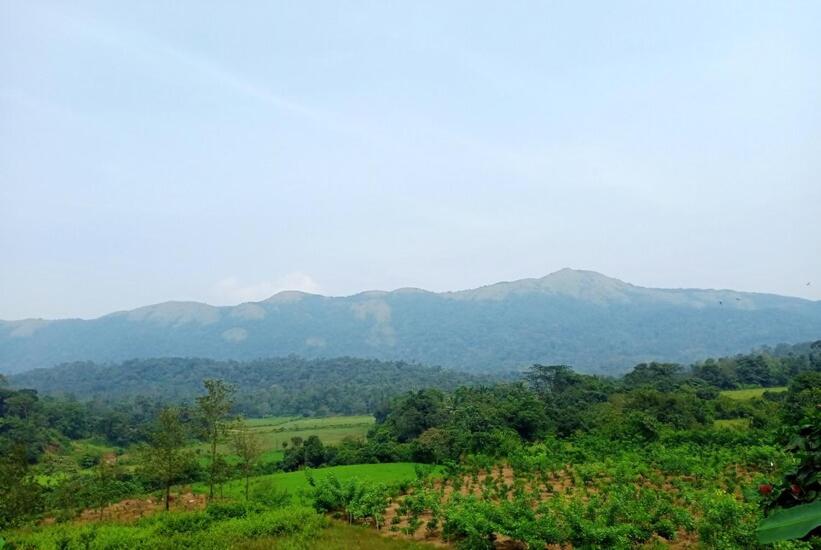 Himani Heritage Resorts, formerly Camp Nishani Holidays view 4
