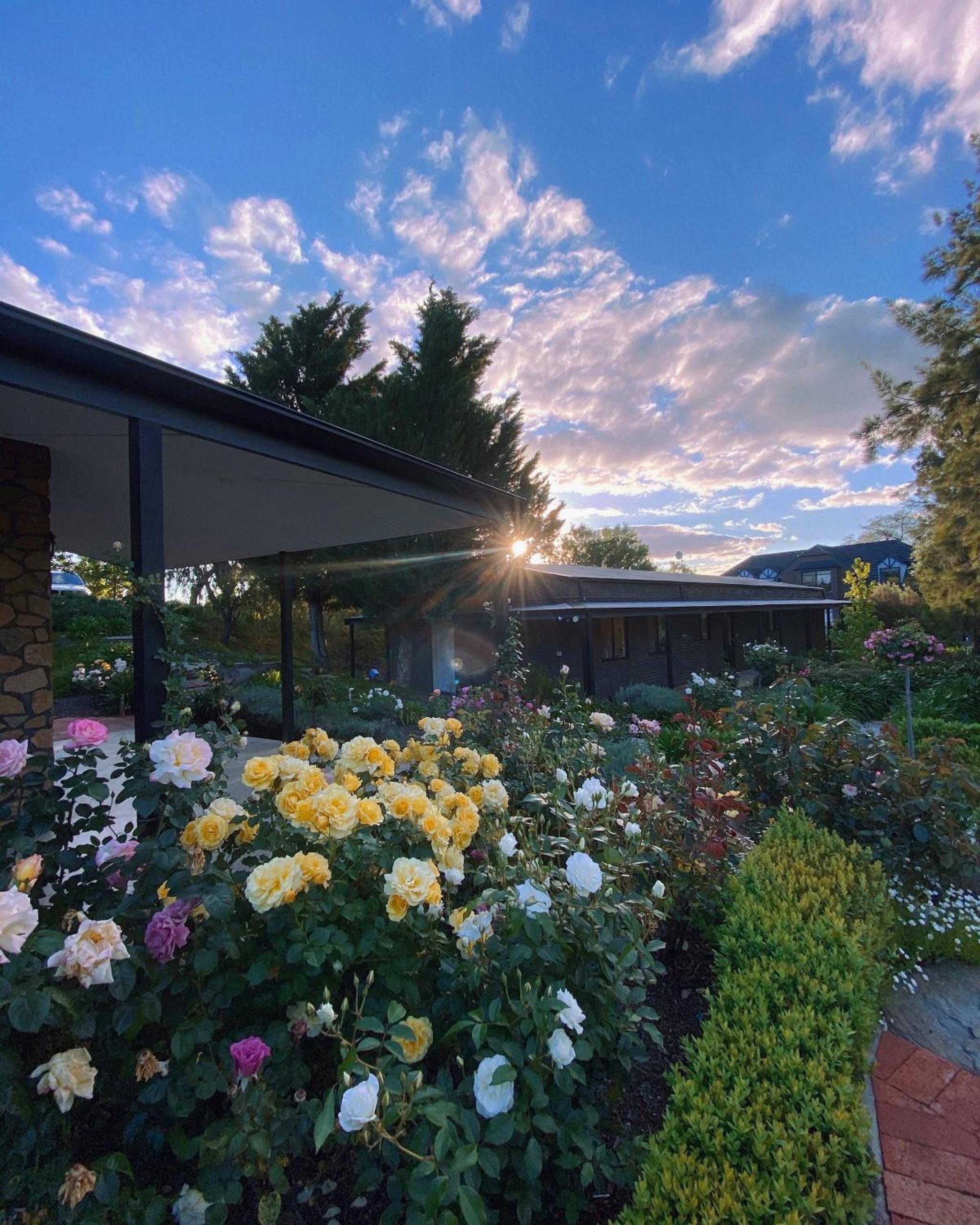 Shiraz Cottage - A Vineyard Retreat in Barossa Valley