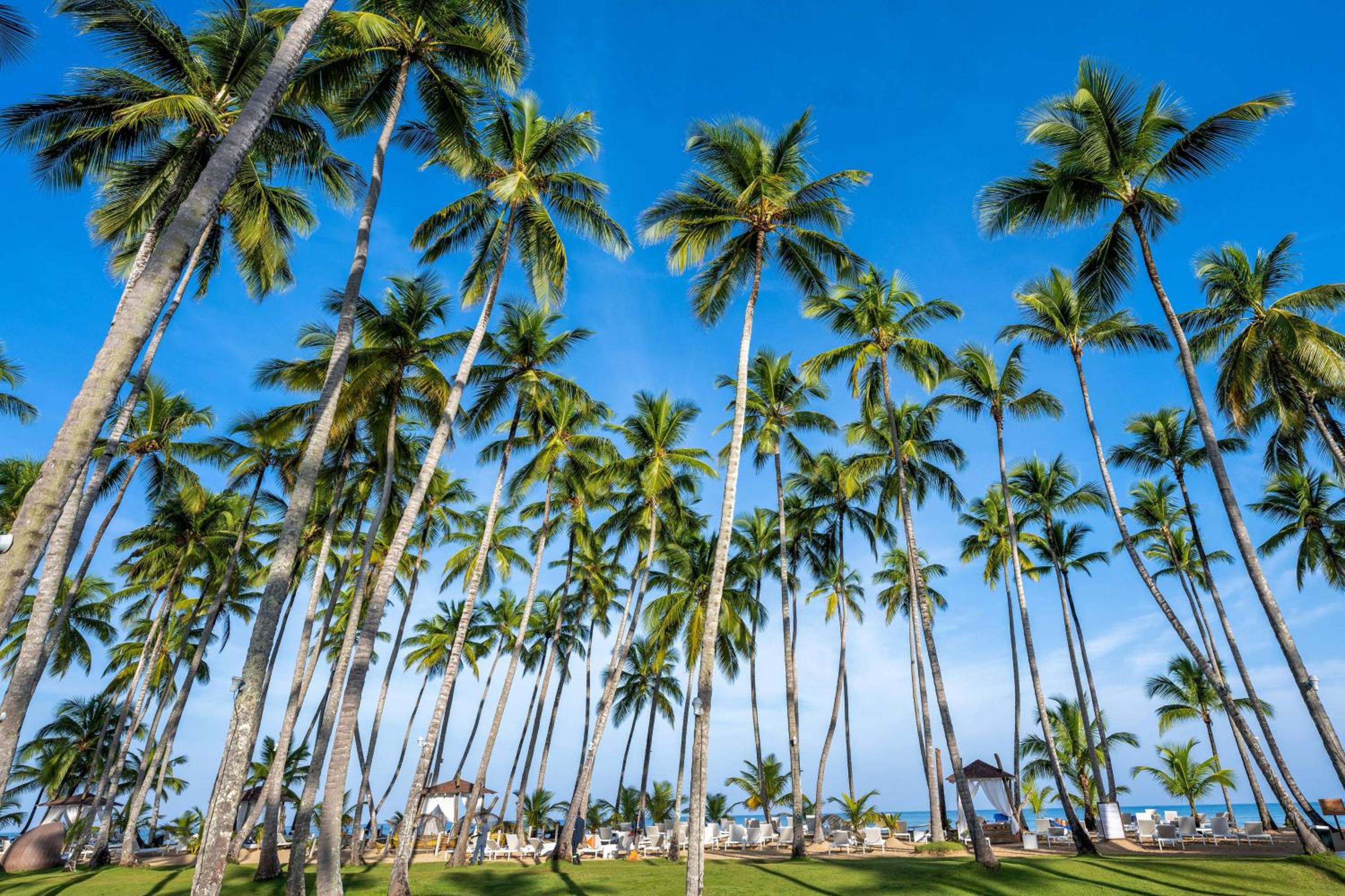 Viva V Samana by Wyndham, A Trademark Adults All Inclusive - Photo 92