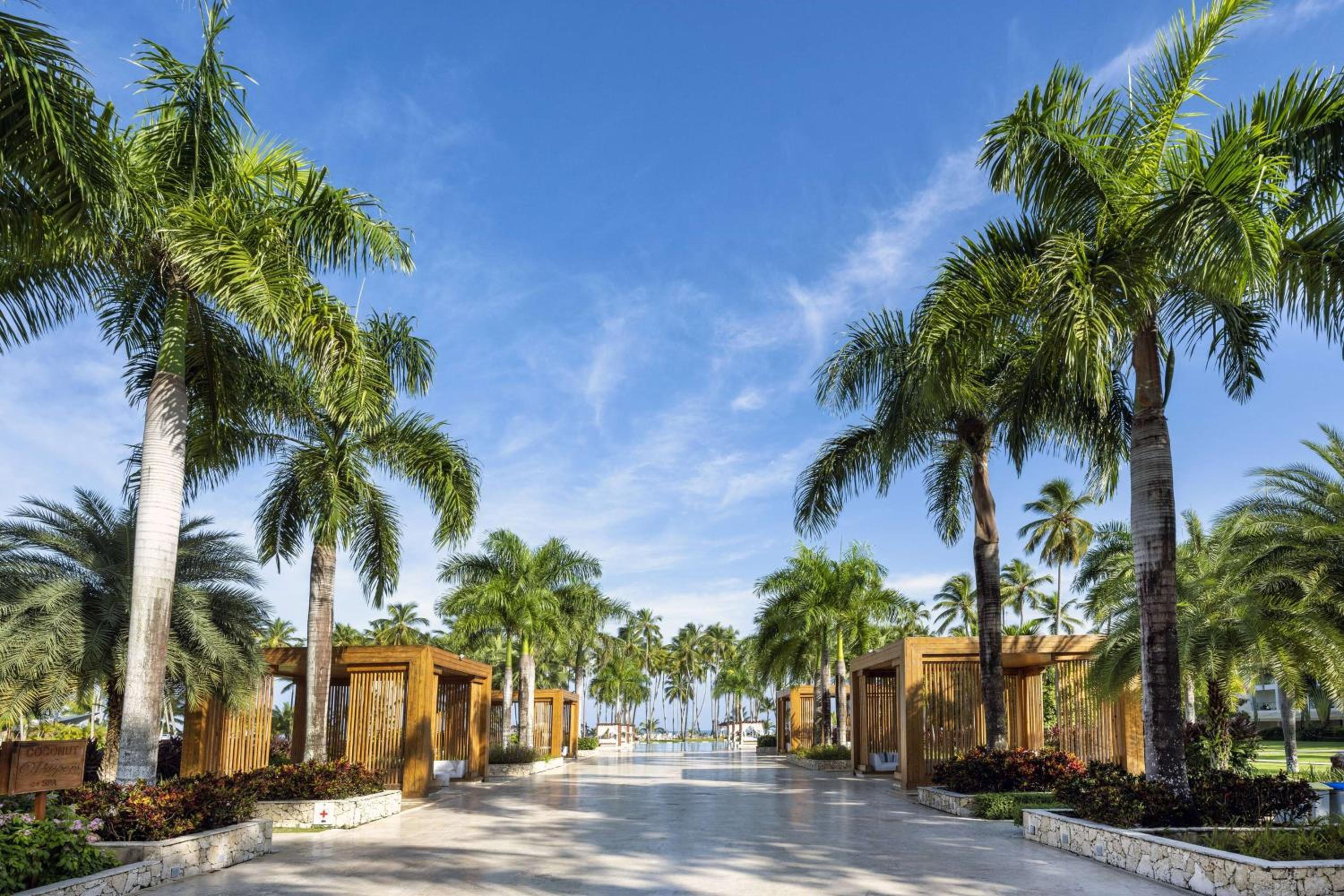 Viva V Samana by Wyndham, A Trademark Adults All Inclusive - Photo 29