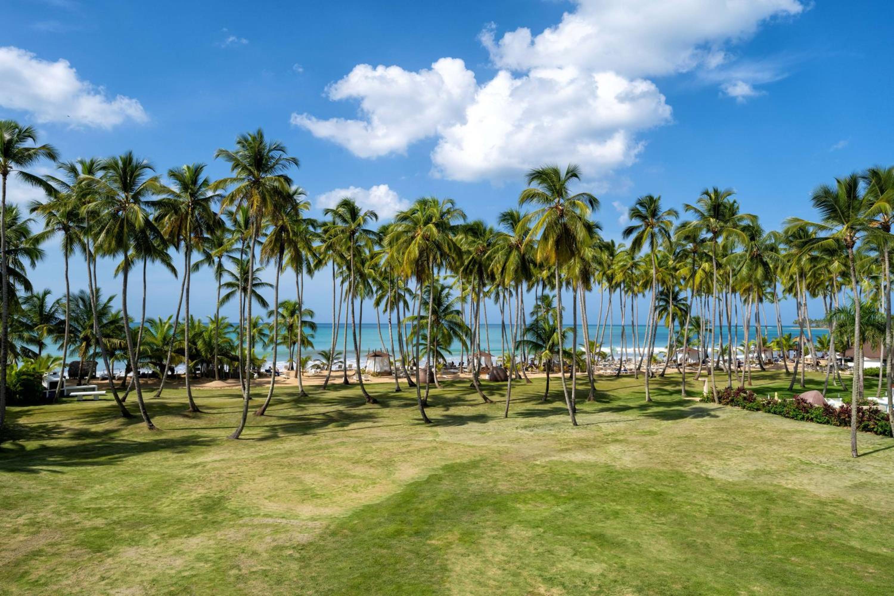 Viva V Samana by Wyndham, A Trademark Adults All Inclusive - Photo 110