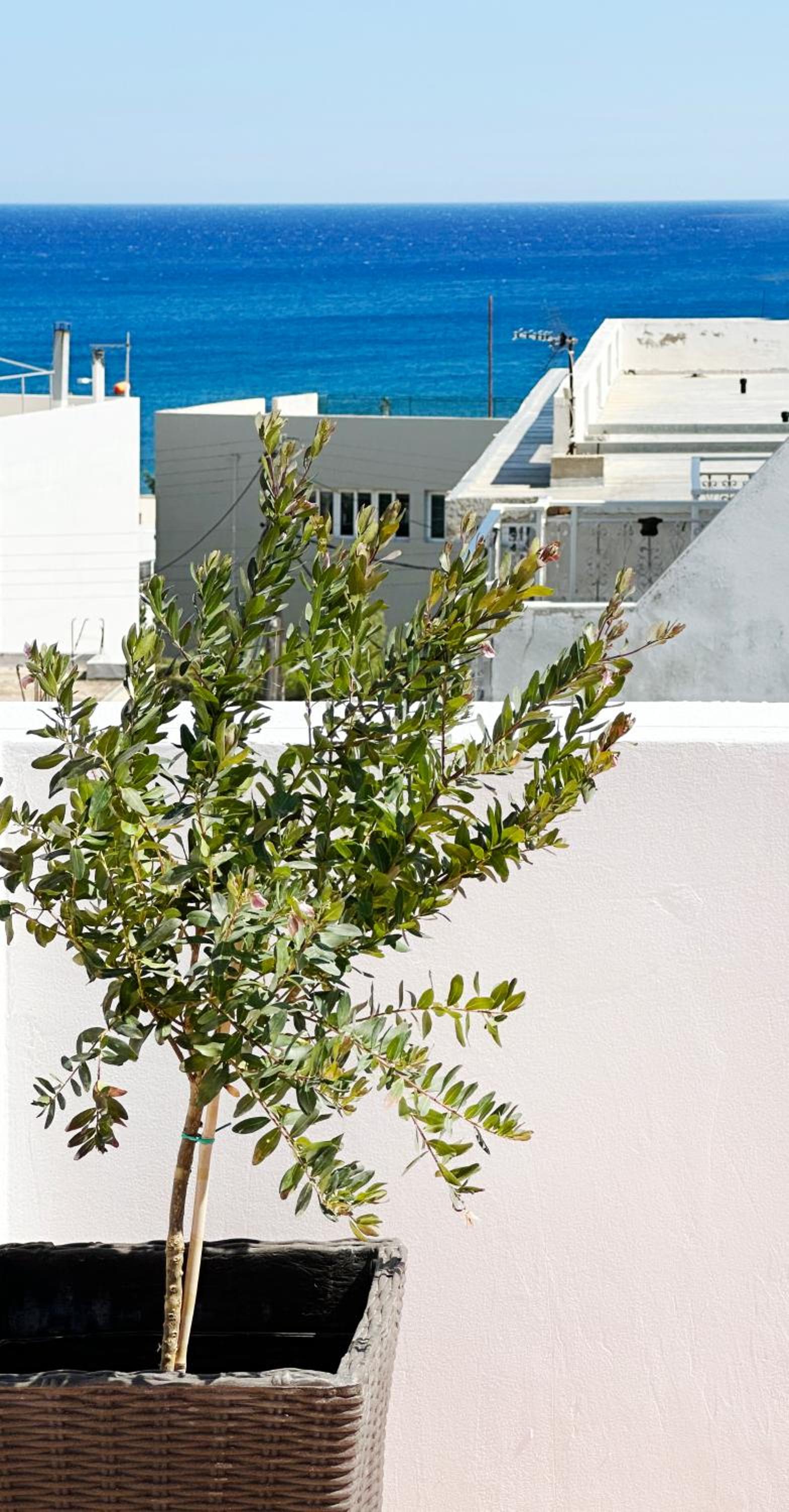 Helen's House photo 5