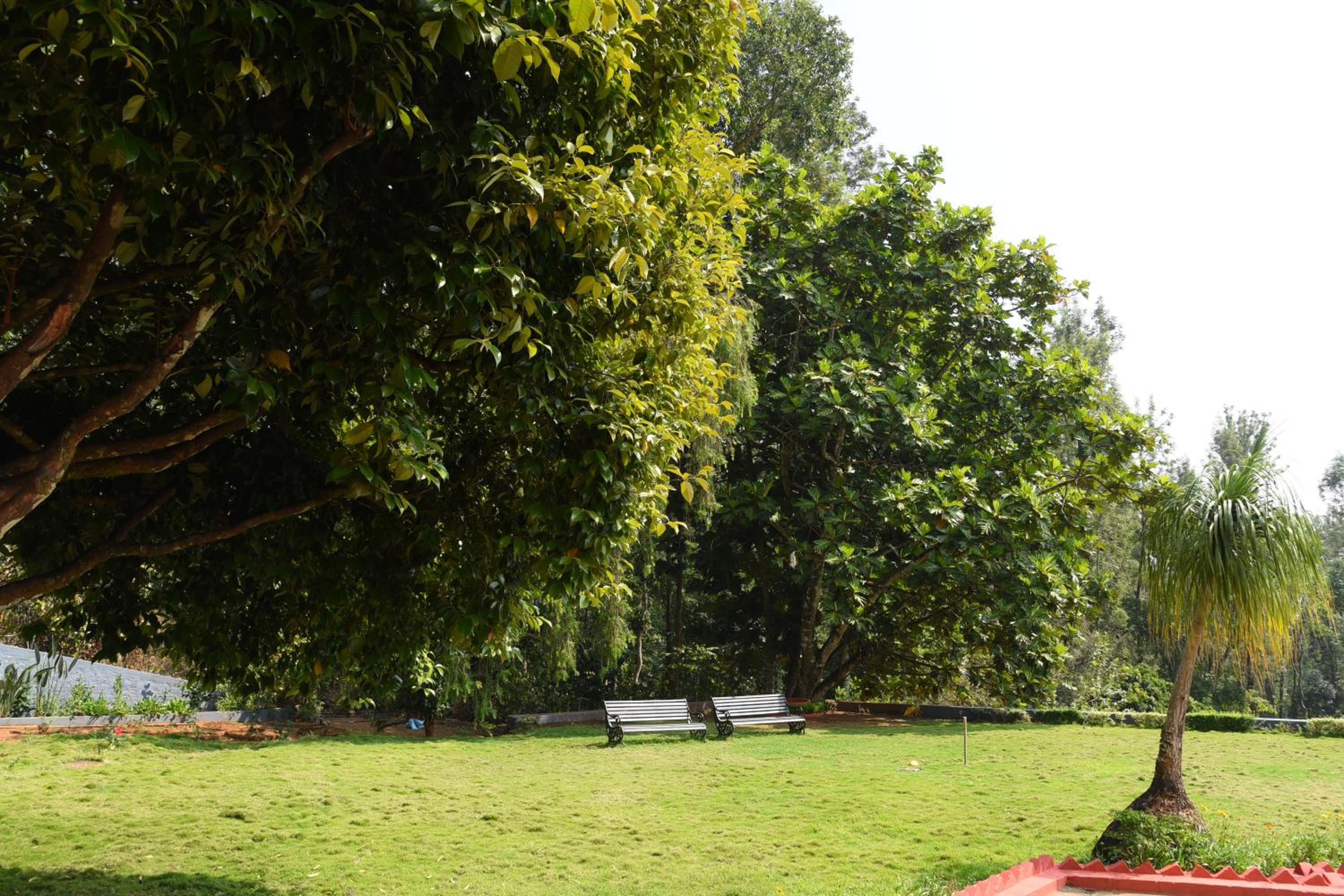 Coffee Villa Homestay