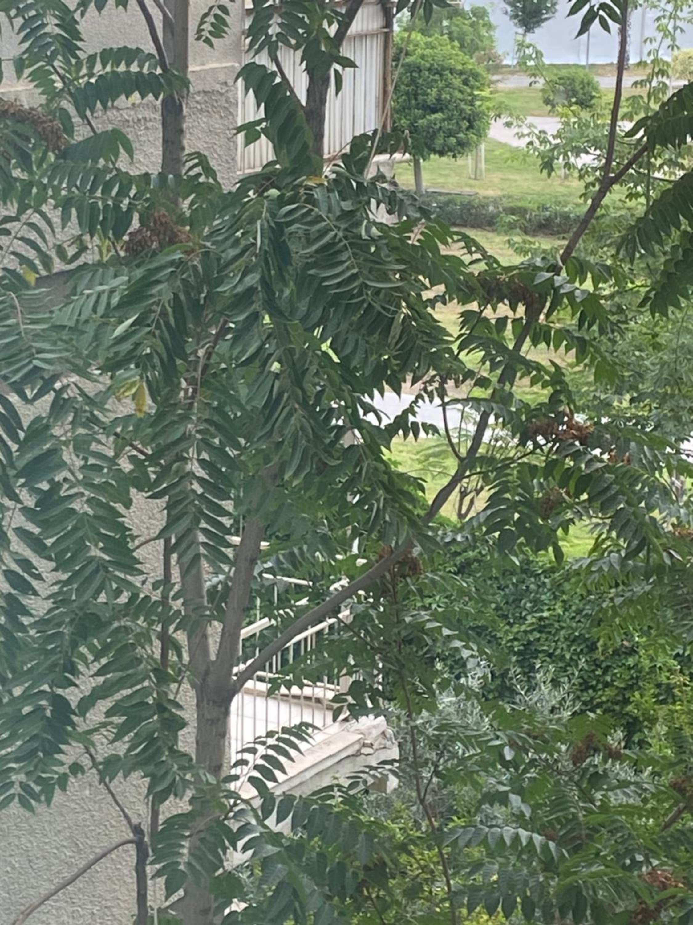 İn The Middle Otel - Image 103