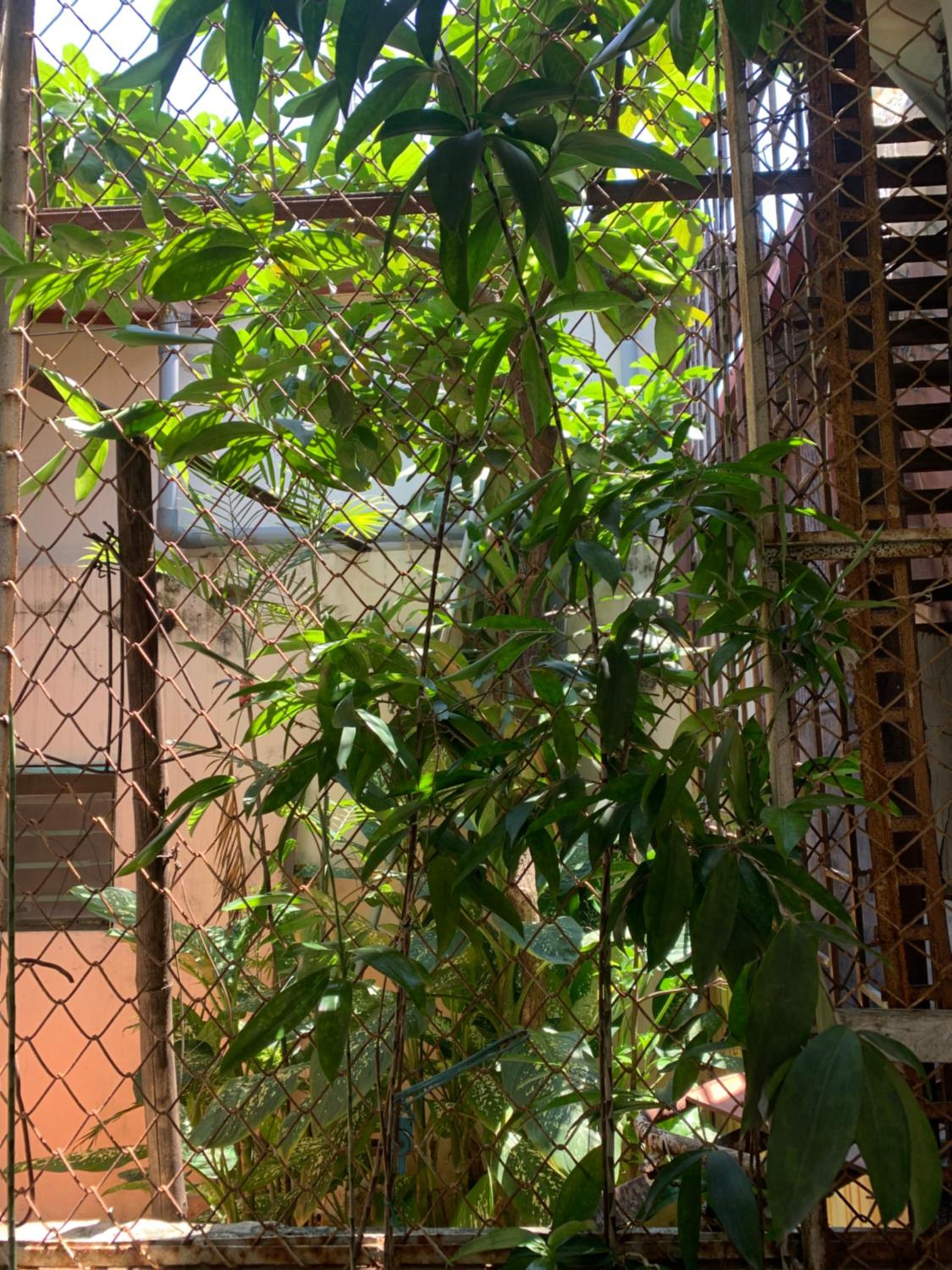 Huong’s Family homestay
