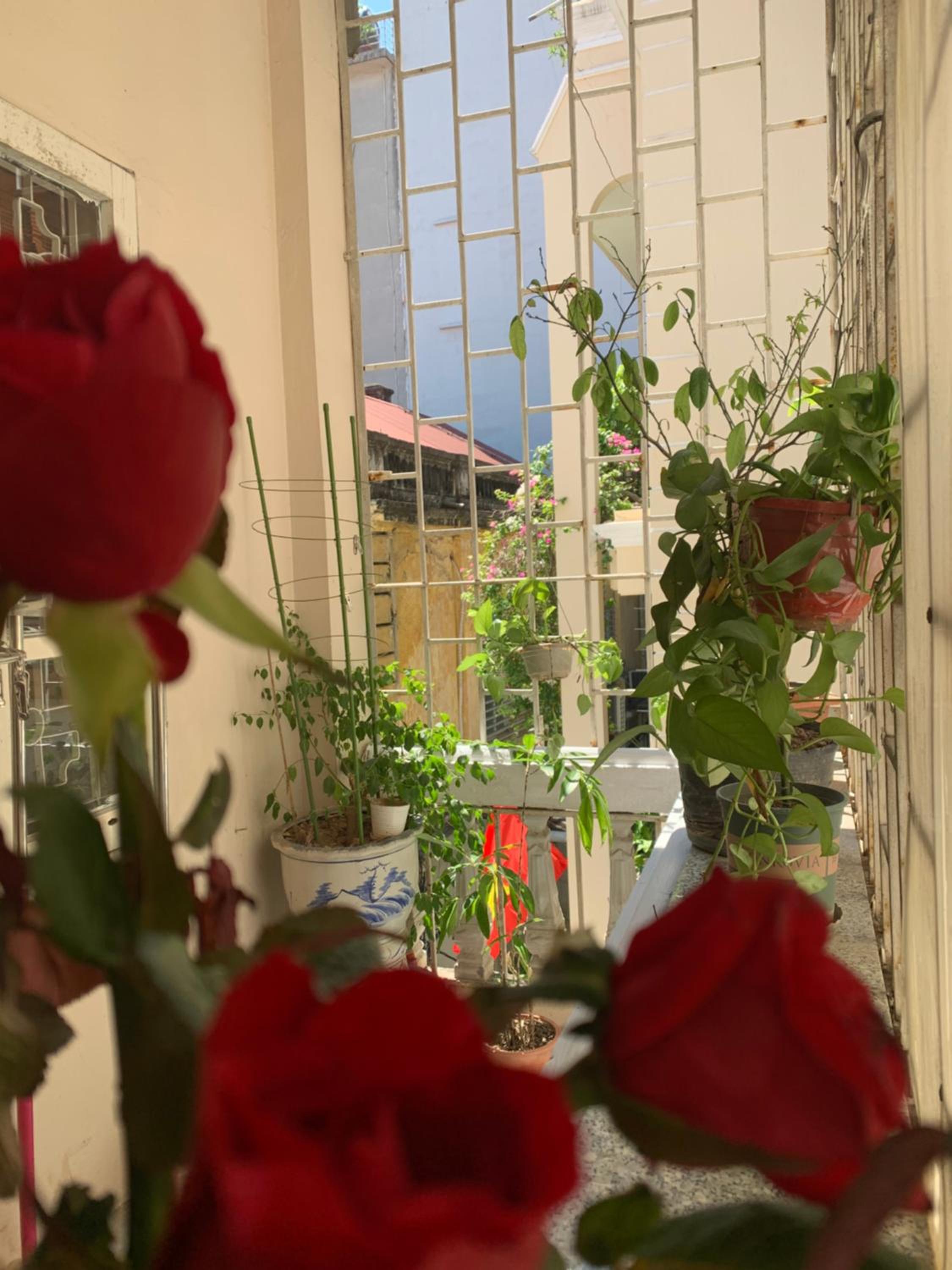 Huong’s Family homestay