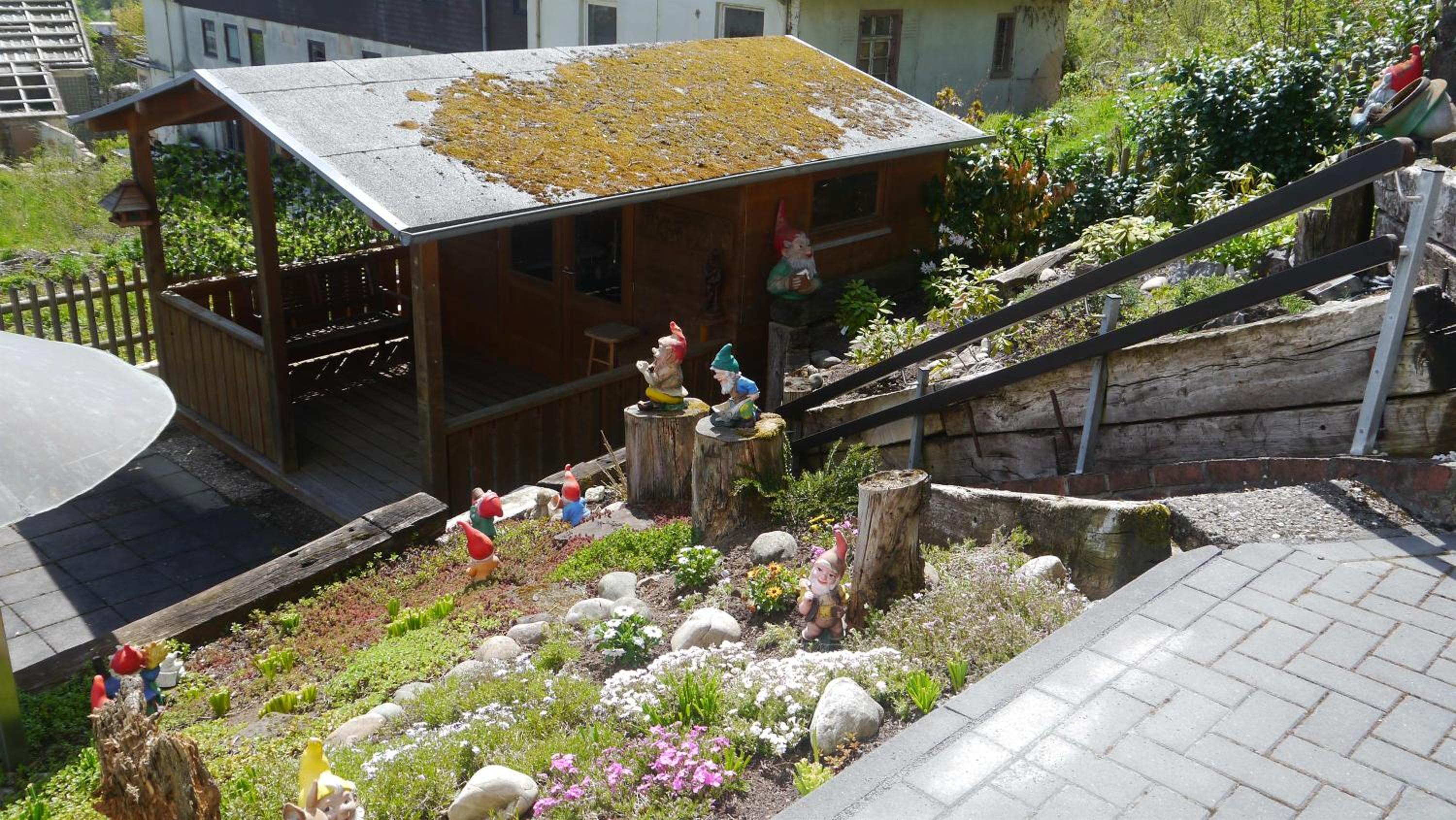 Photo 31