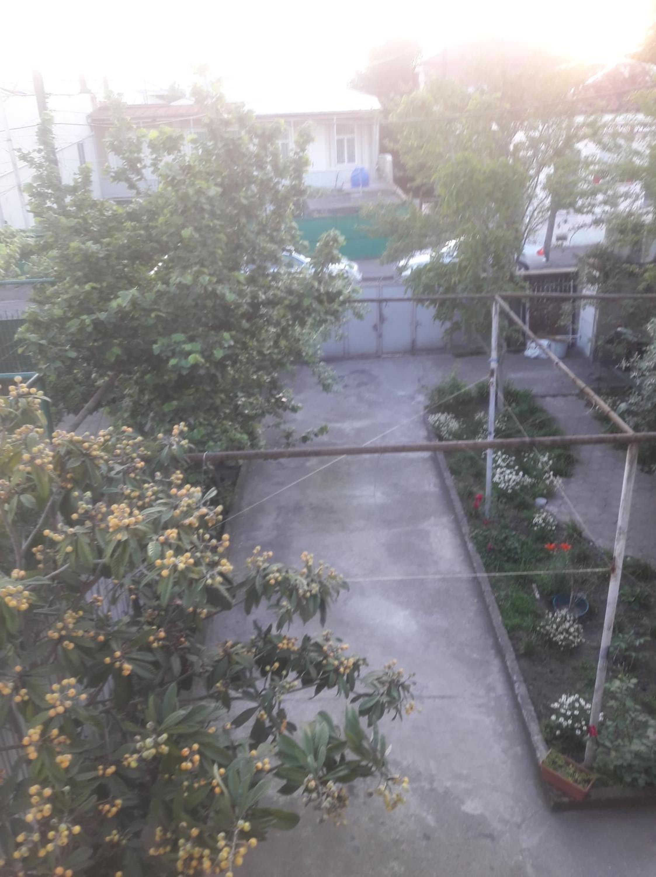 Flora House en Kutaisi — other