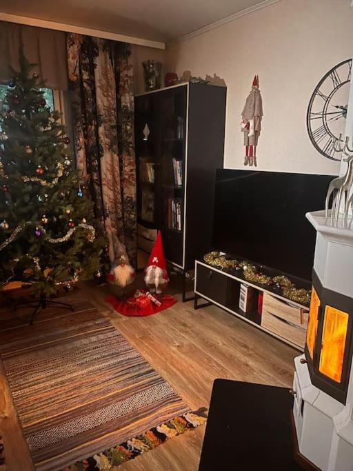 Cozy house close to SantaVillage