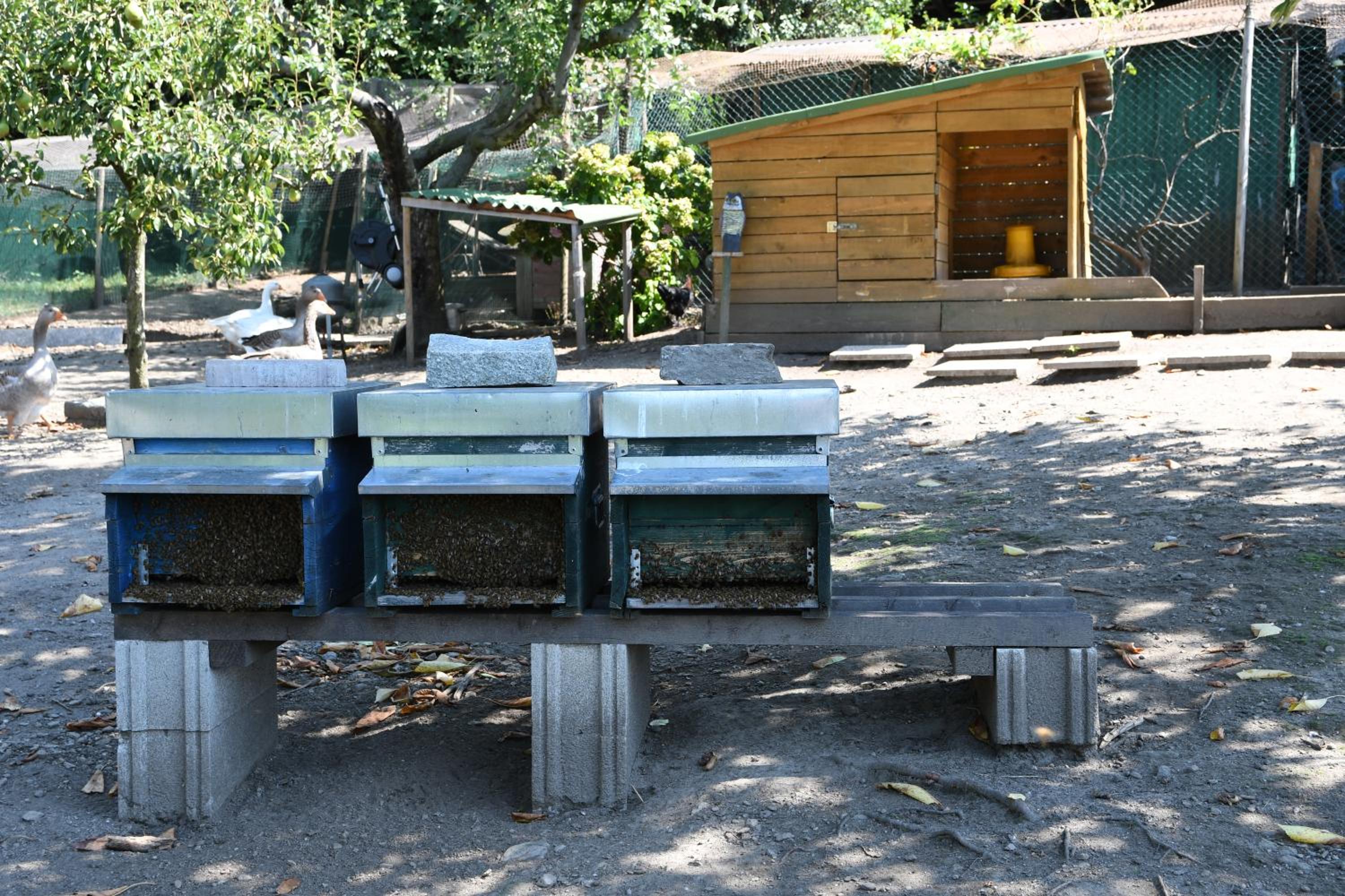 Photo 24