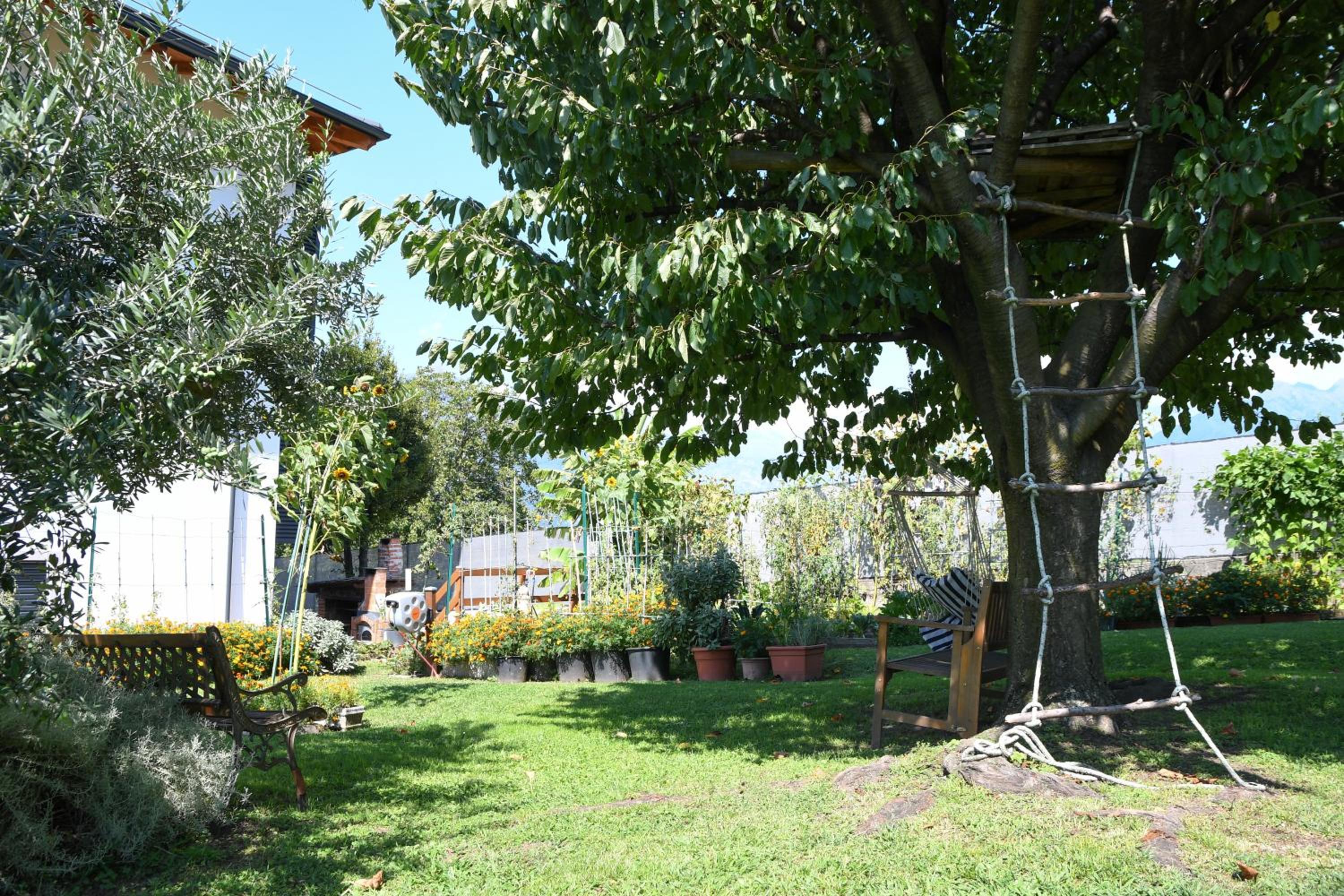 Photo 31