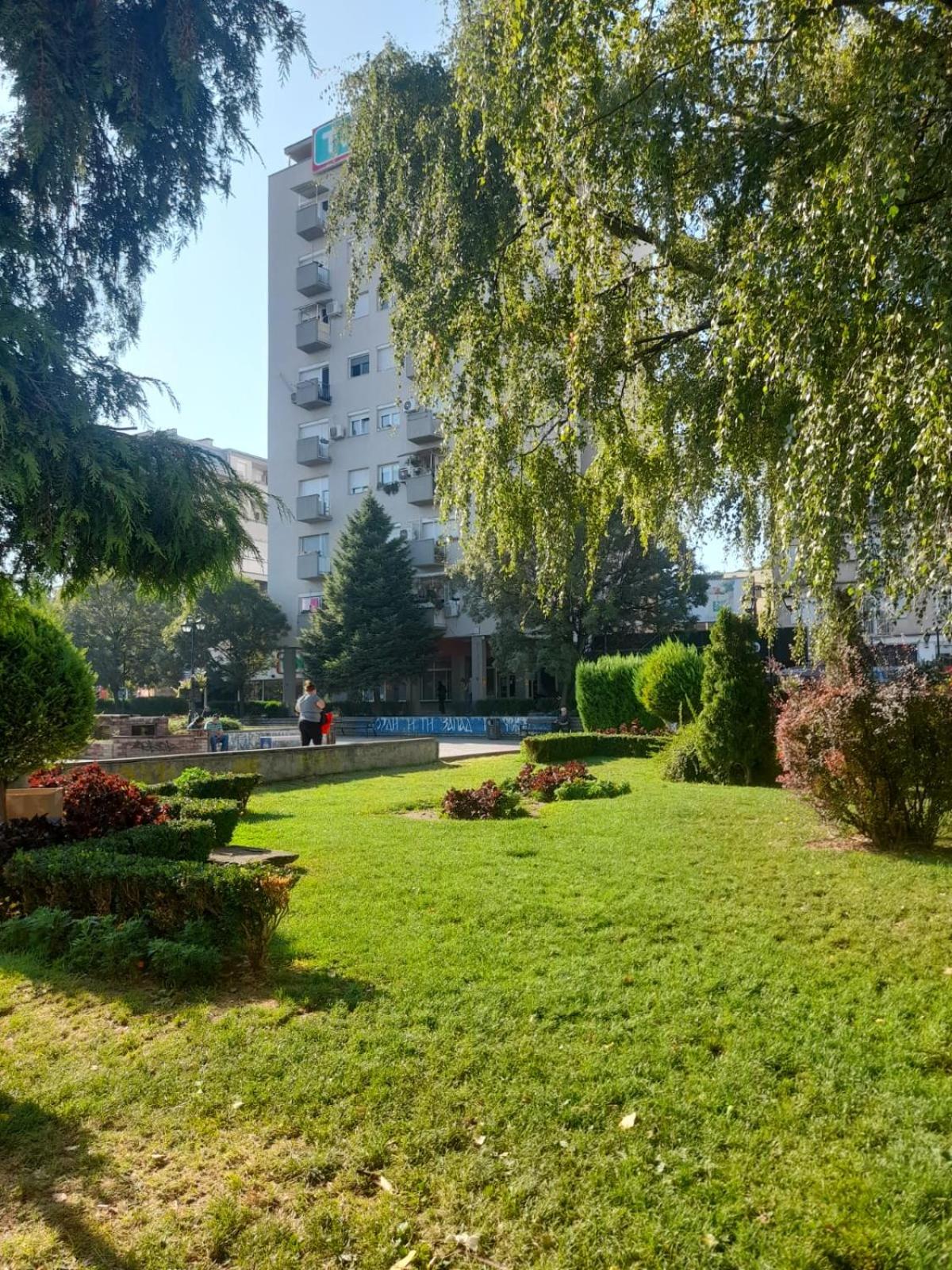 Photo 16