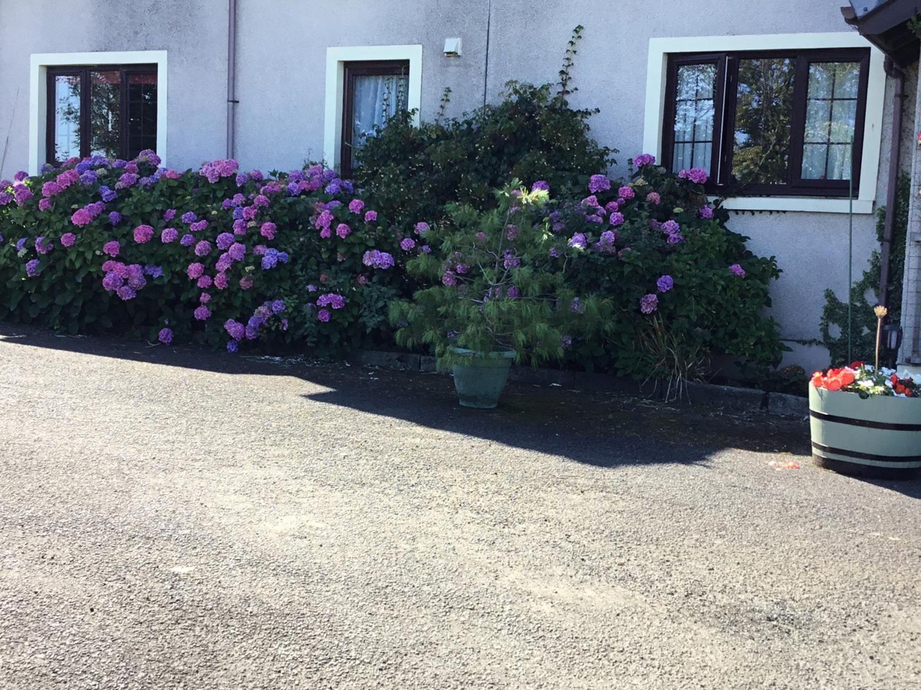 Photo 36