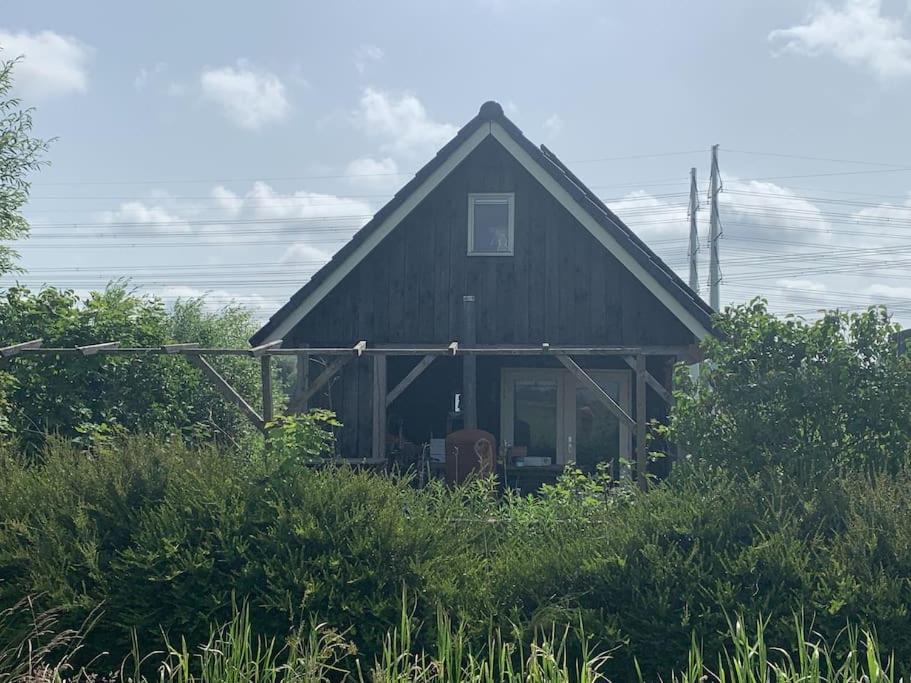 Photo 18
