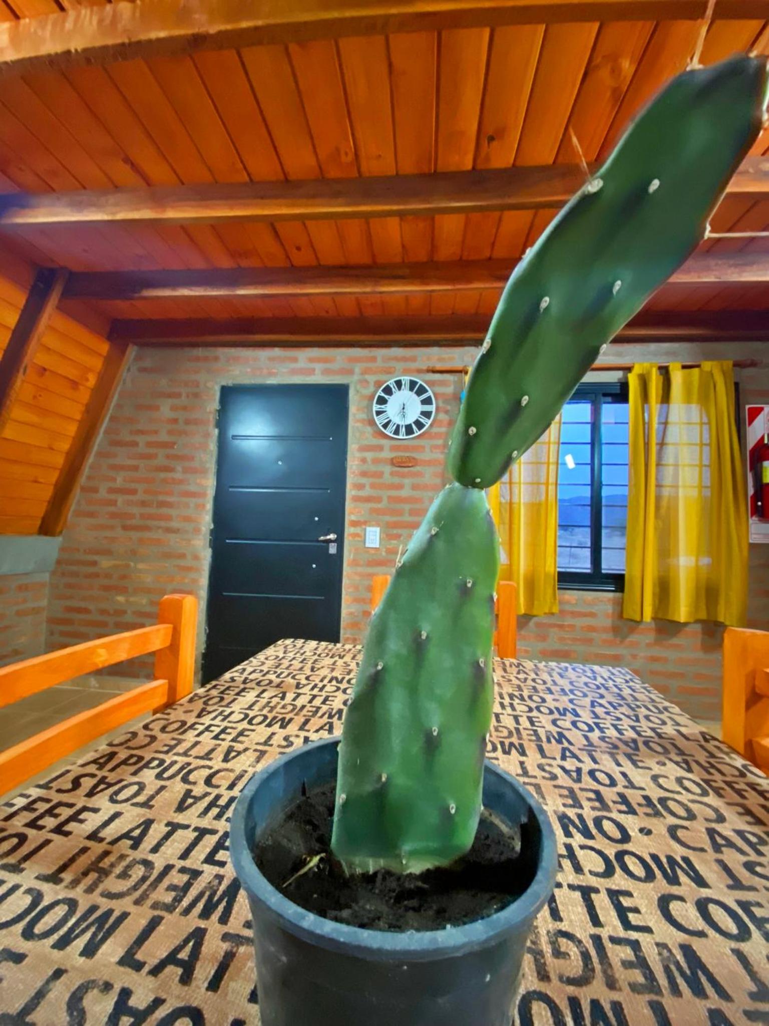 Complejo de Cabañas Valentino
