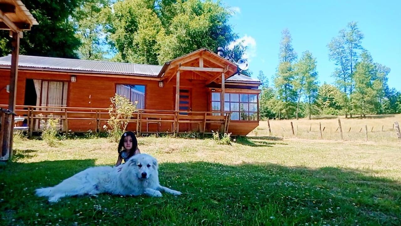 Cabañas simple Pucon