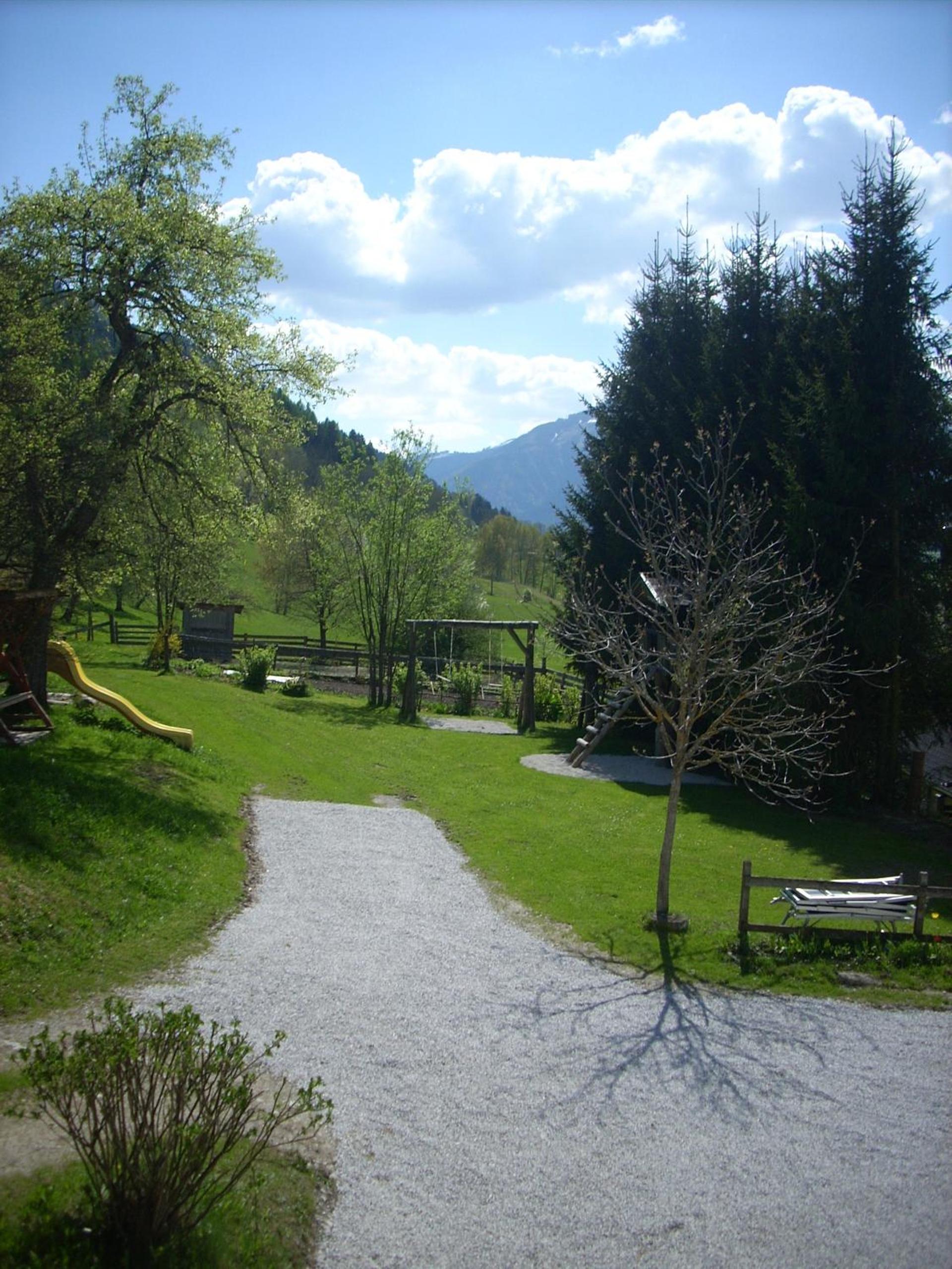 Photo 45