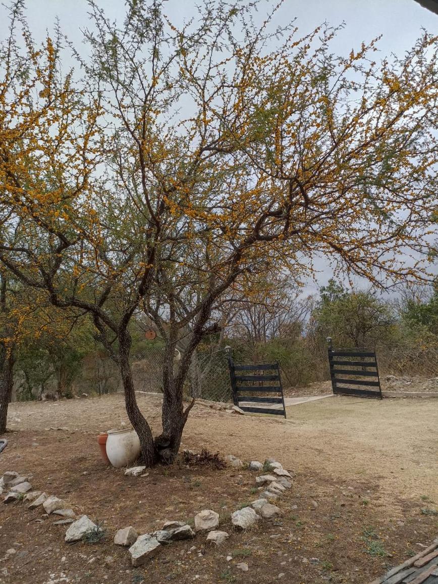 Casa de montaña Octavio