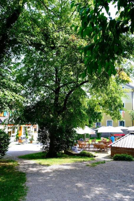 Traumurlaub WestCoast Ammersee 7 Gehminuten zum See