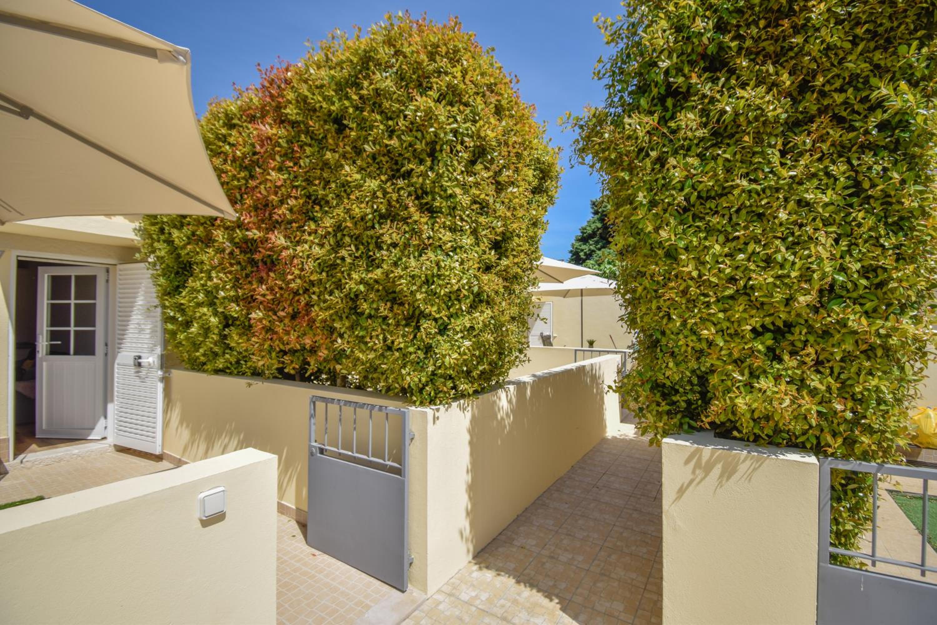Acolhedor Apartamento de 1 Quarto com Terraço