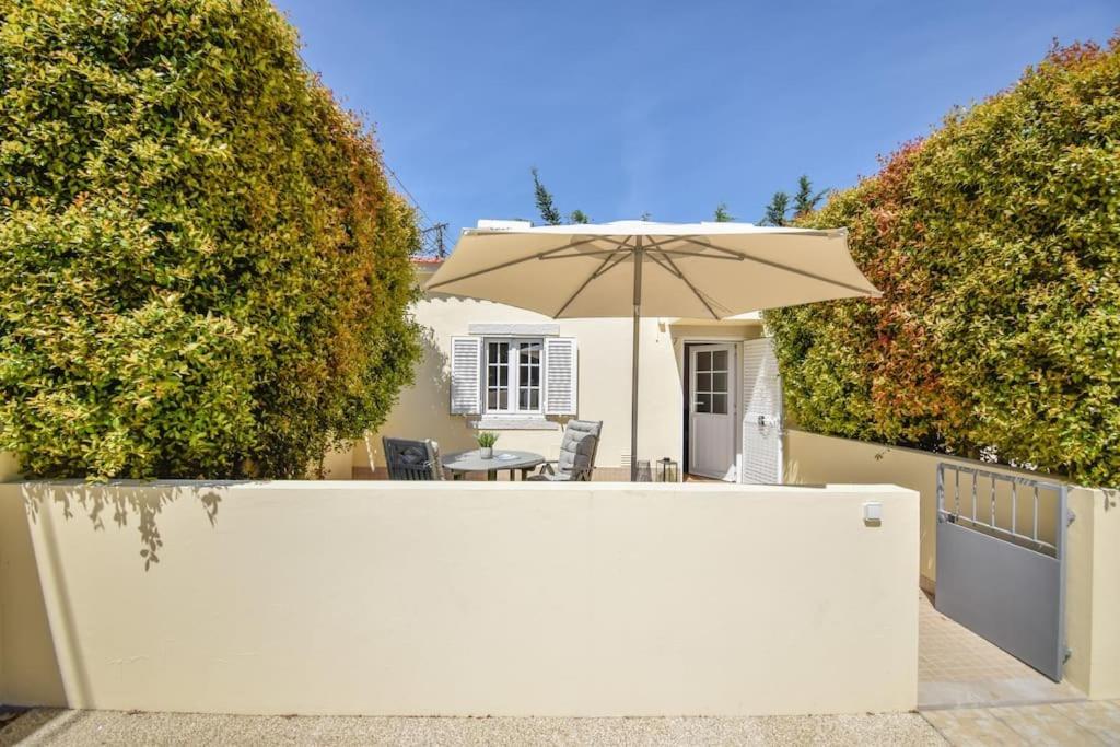 Acolhedor Apartamento de 1 Quarto com Terraço