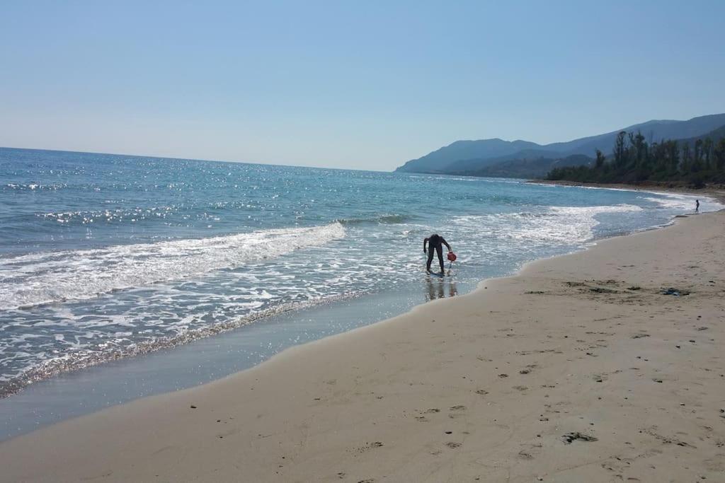 Photo 43
