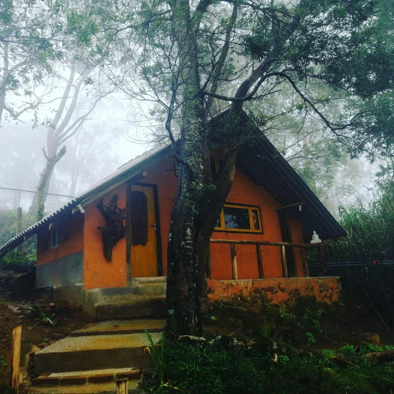 SHADOW MASK BUNGALOW