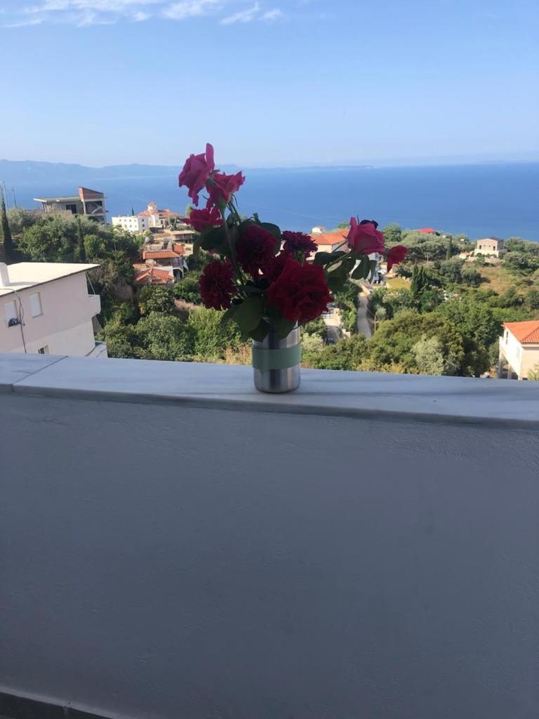 Blue Paradise Apartment