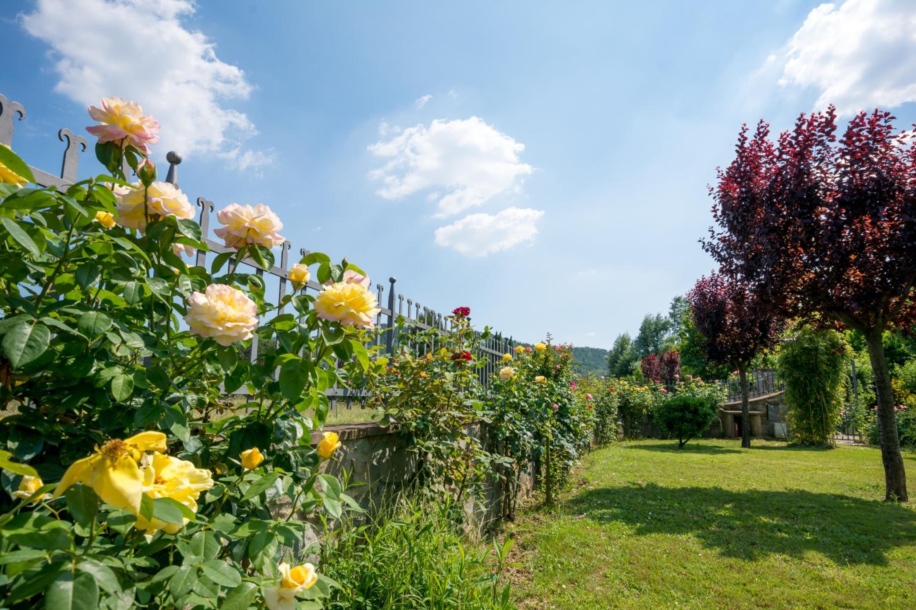 B&B Maesta' Di Cudino