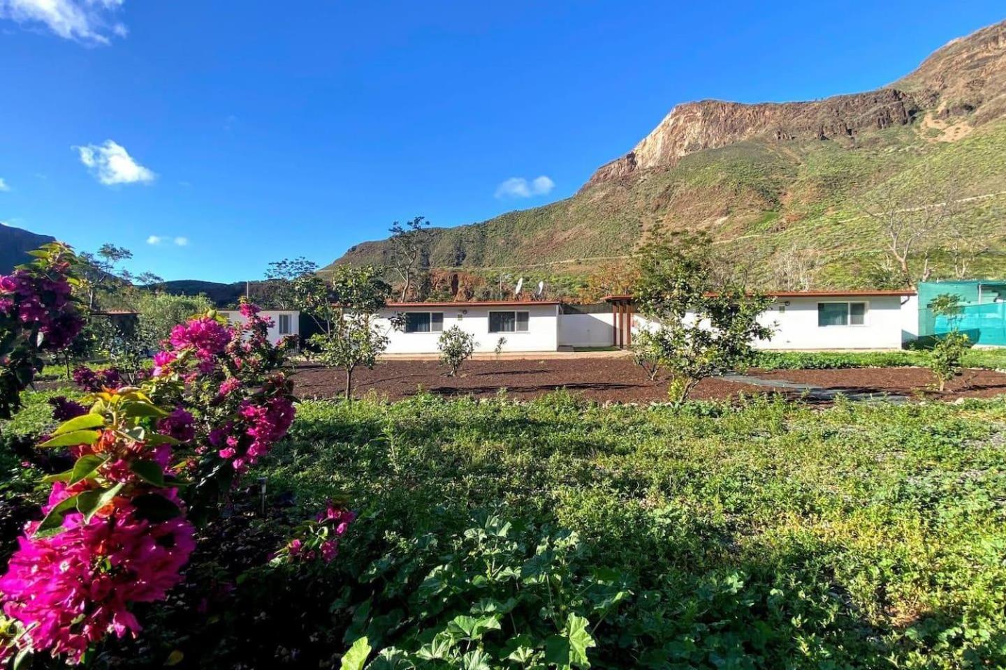 Cosy Apartment in the Mountains near Maspalomas