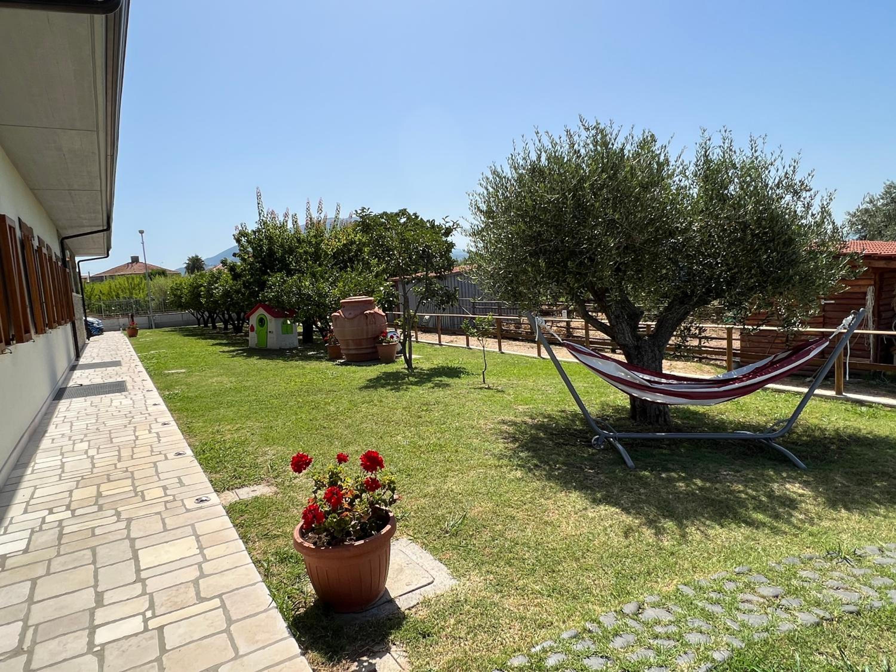 B & B Vigna Di Filippo - Paestum view 4