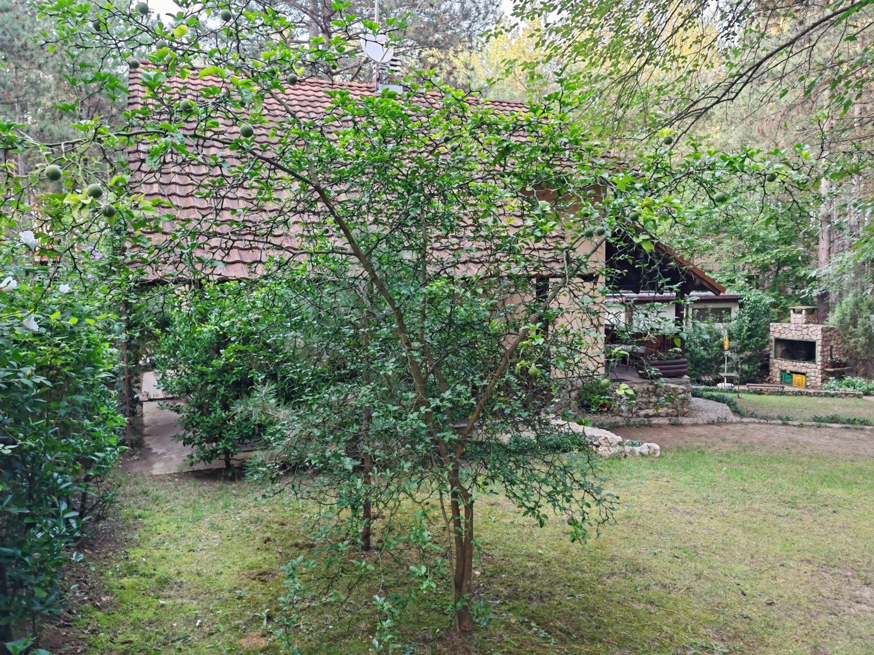 Apartmani Todorovic view 2