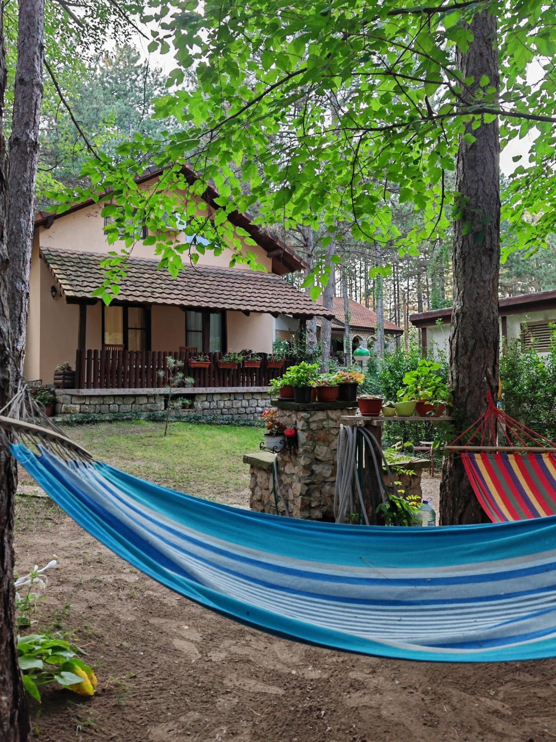 Apartmani Todorovic view 4