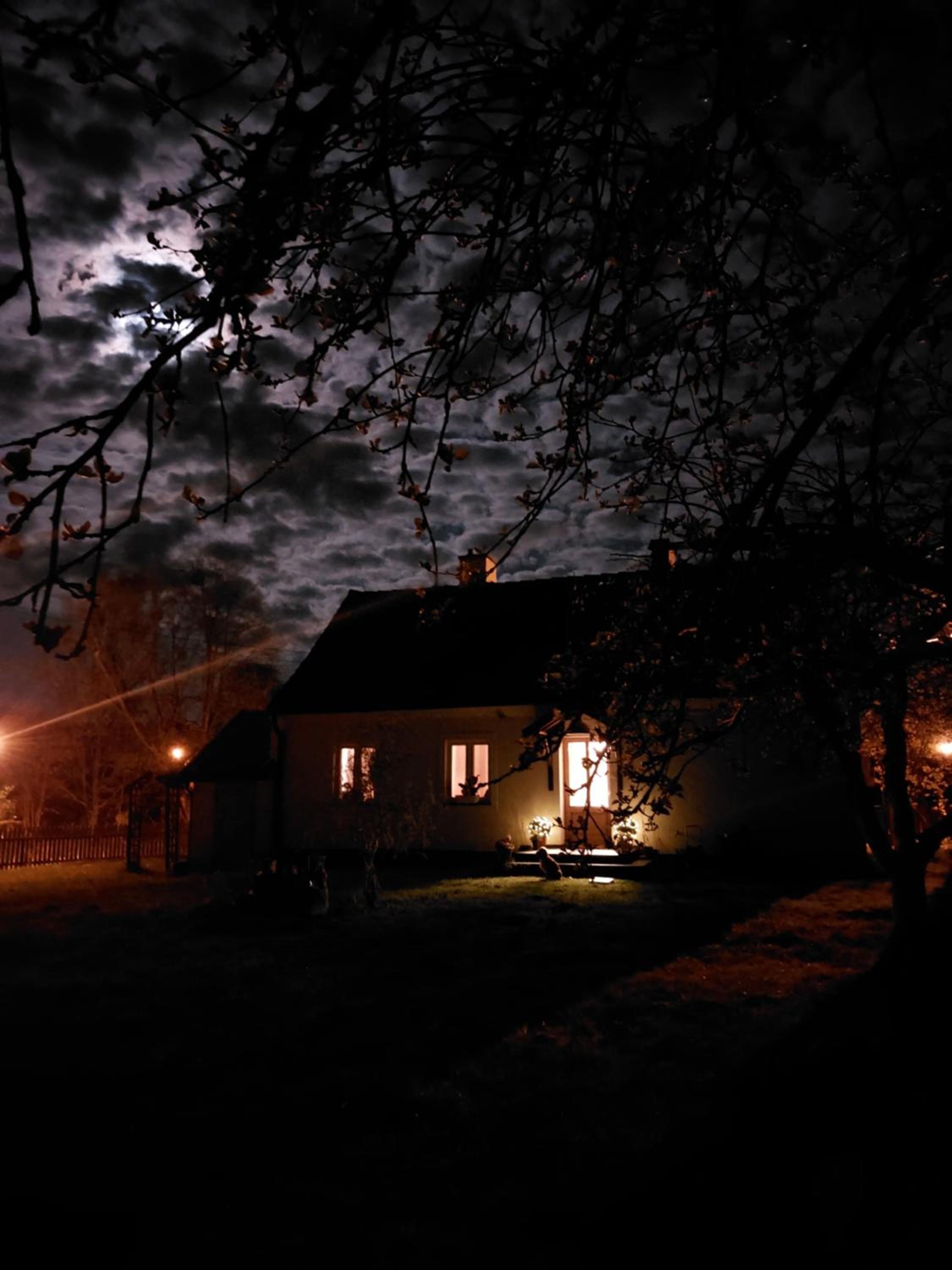Photo 47