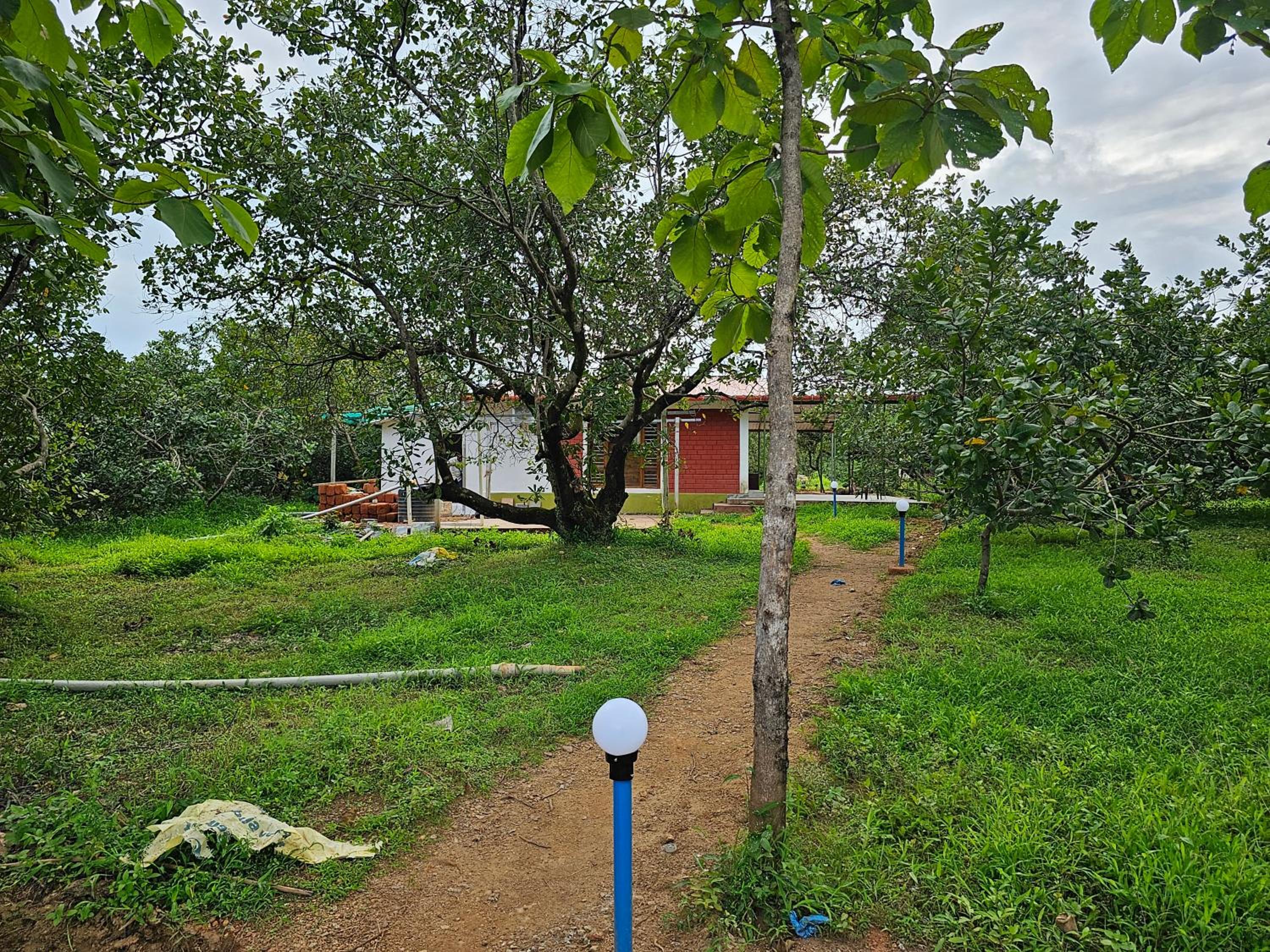 Farmhouse with Pool - Kalavady Farmstay