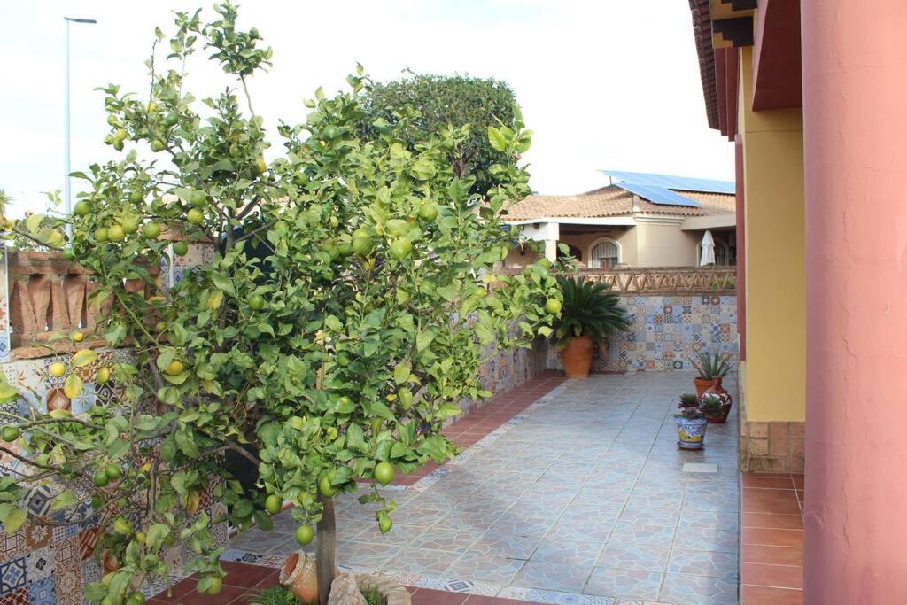 Casa 4 dormitorios en Ayamonte view 3