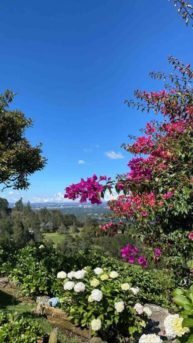 LAS NUBES - Donde la energía fluye, el alma se cura