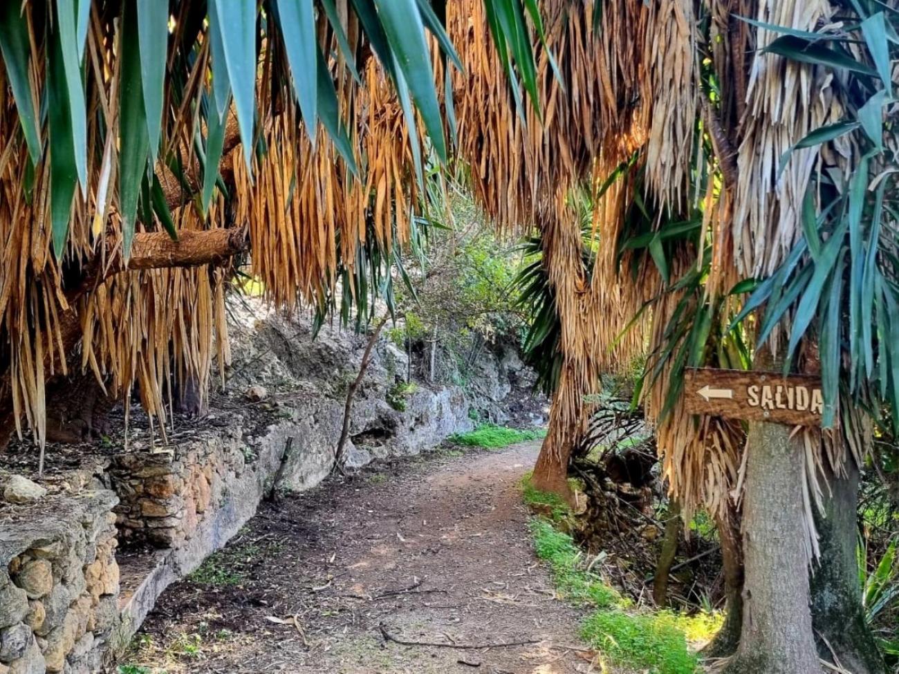 Ctro de Naturaleza Cañada Verde "Descubre la Magia de El Bosque Encantado de Córdoba" photo 4
