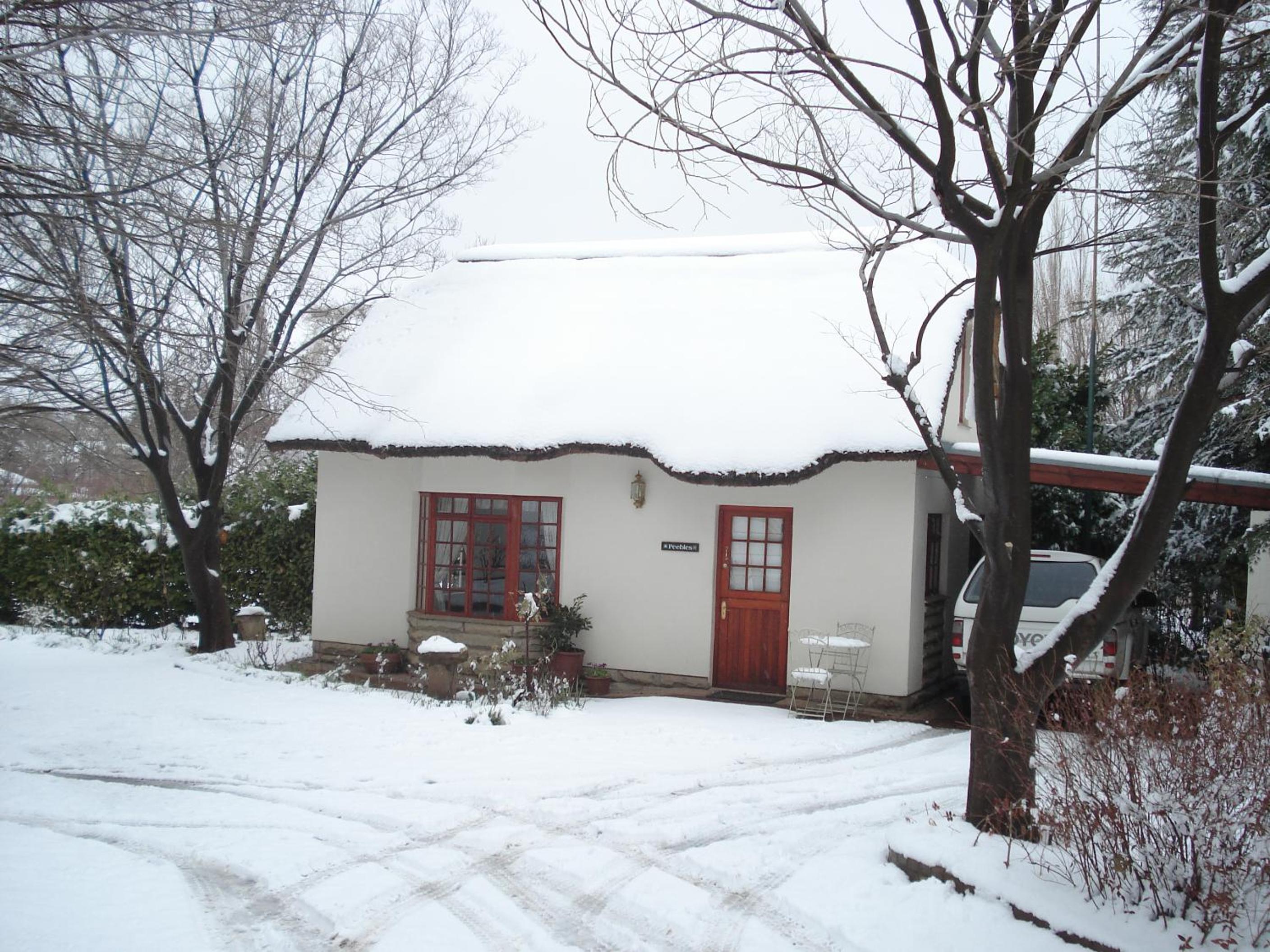 Photo 23