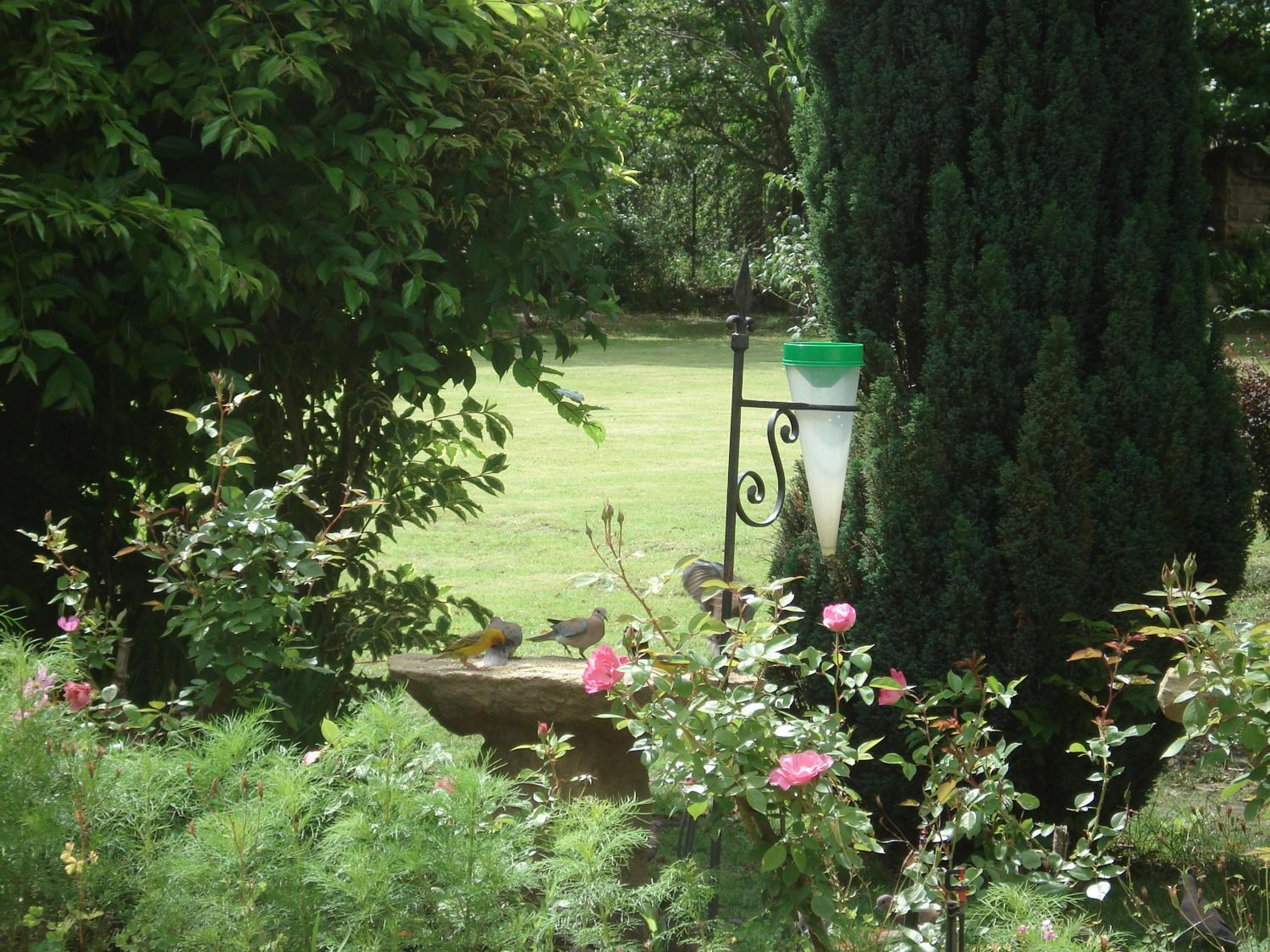 Photo 16