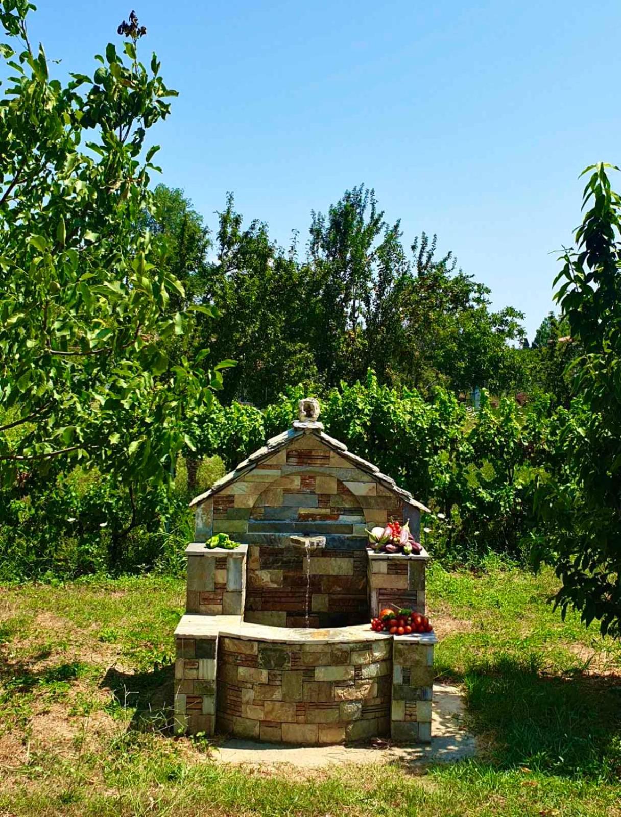 Photo 46