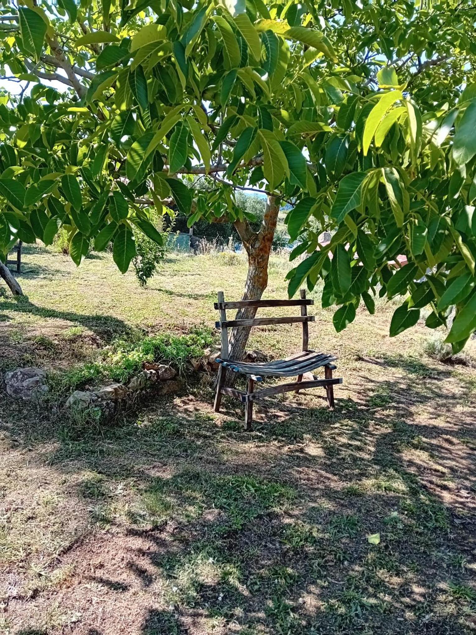 Lugori